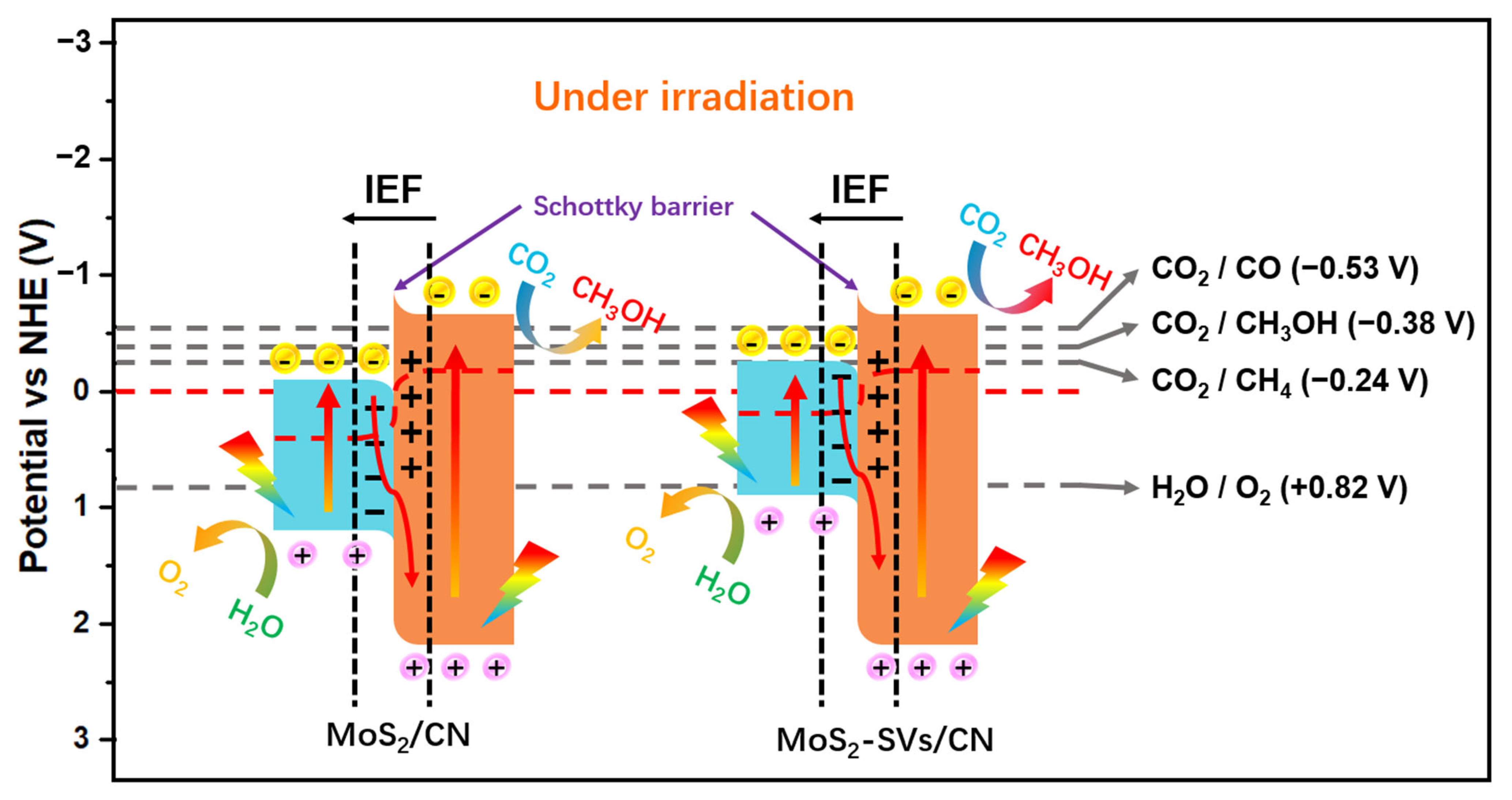 Nanomaterials 15 01294 g007