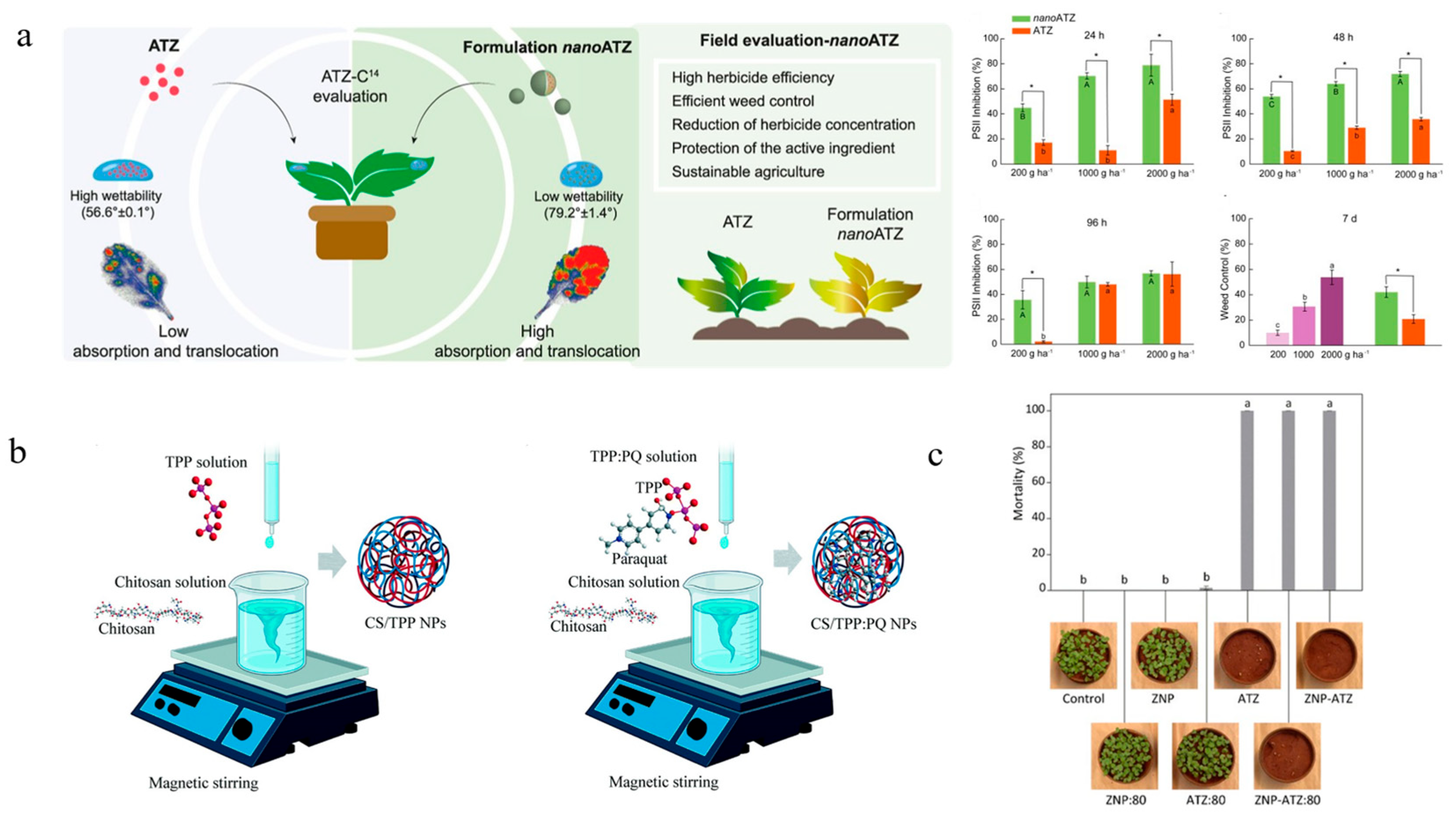 Nanomaterials 15 01304 g002