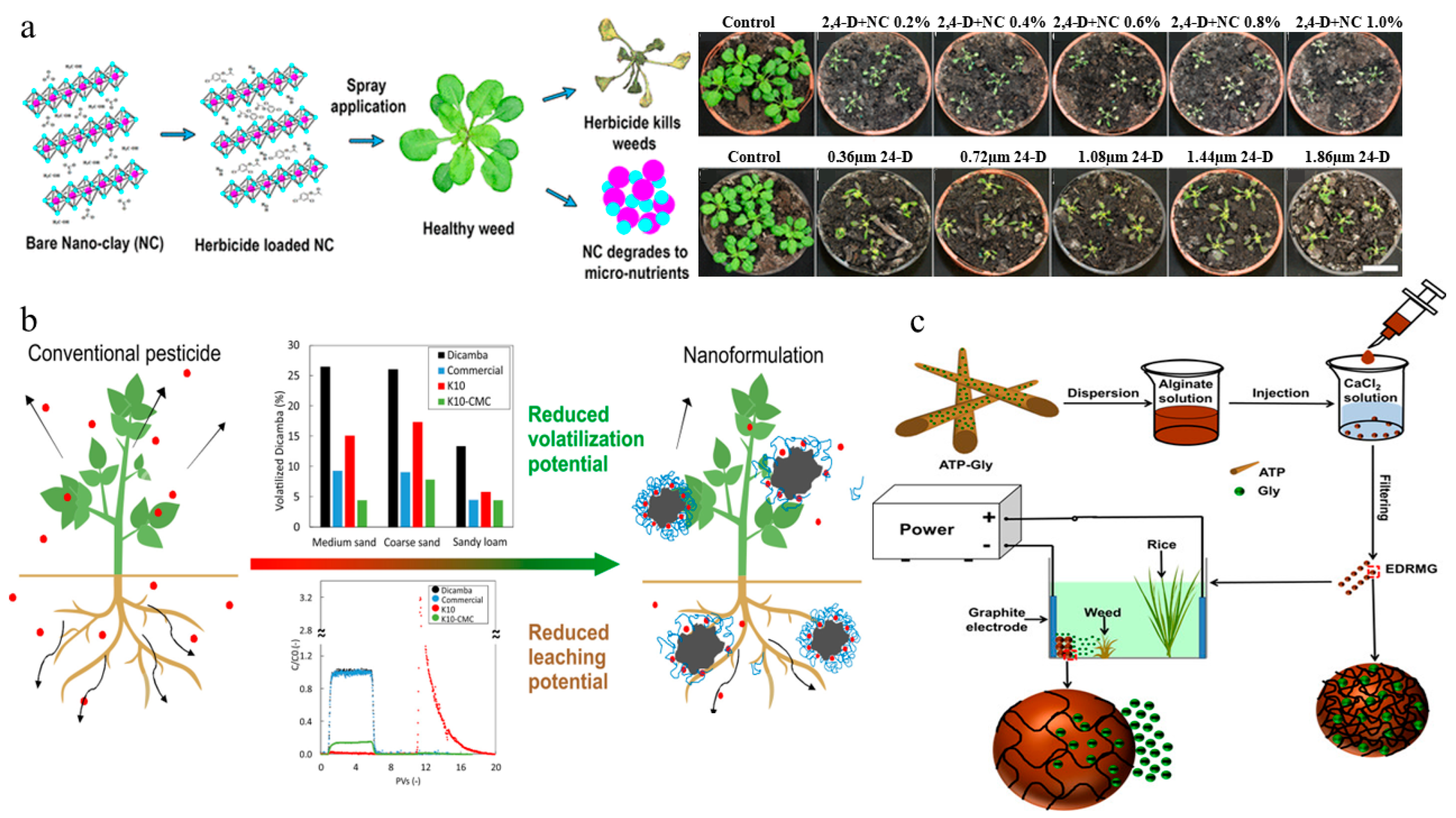 Nanomaterials 15 01304 g003