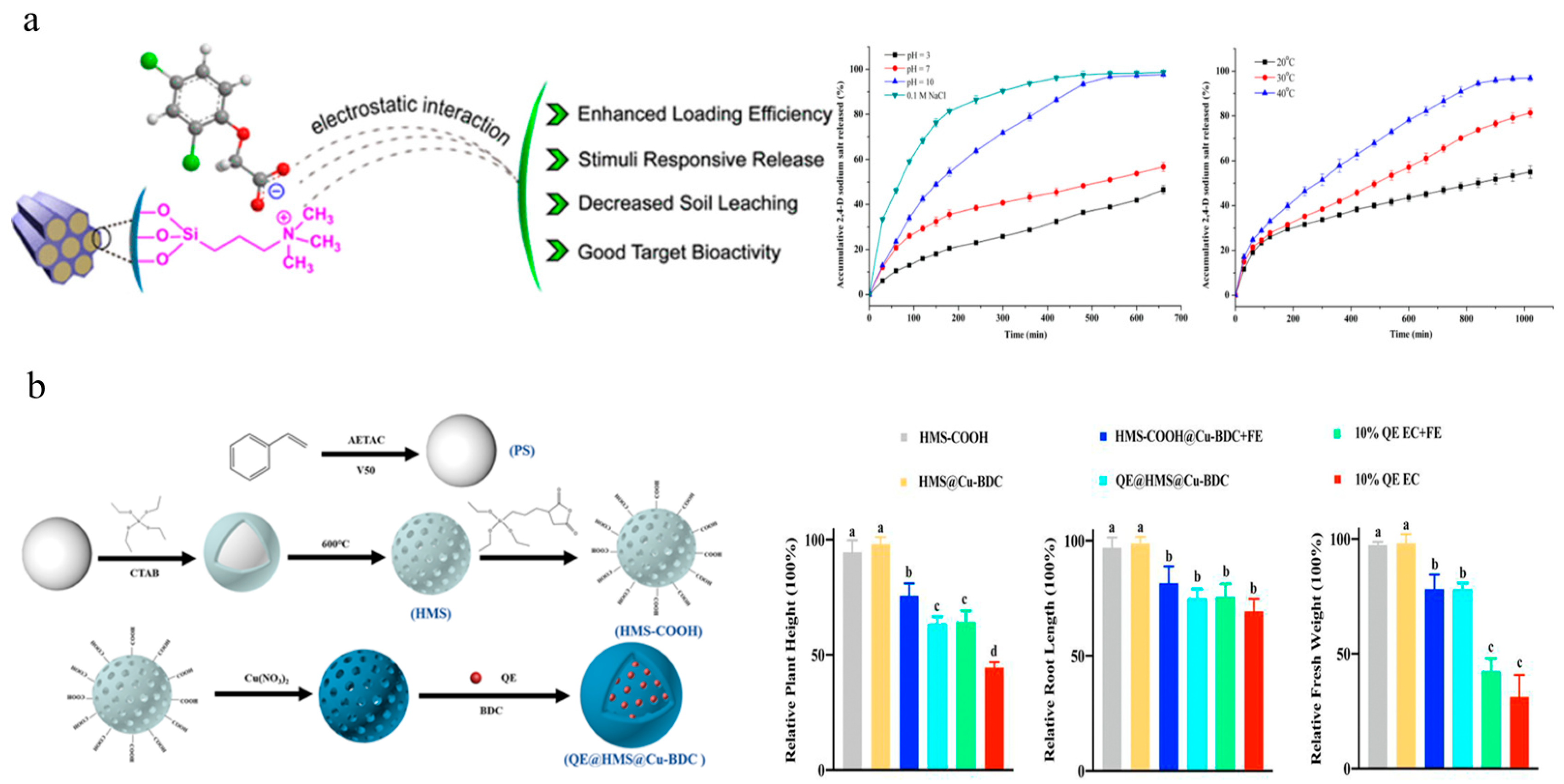 Nanomaterials 15 01304 g004