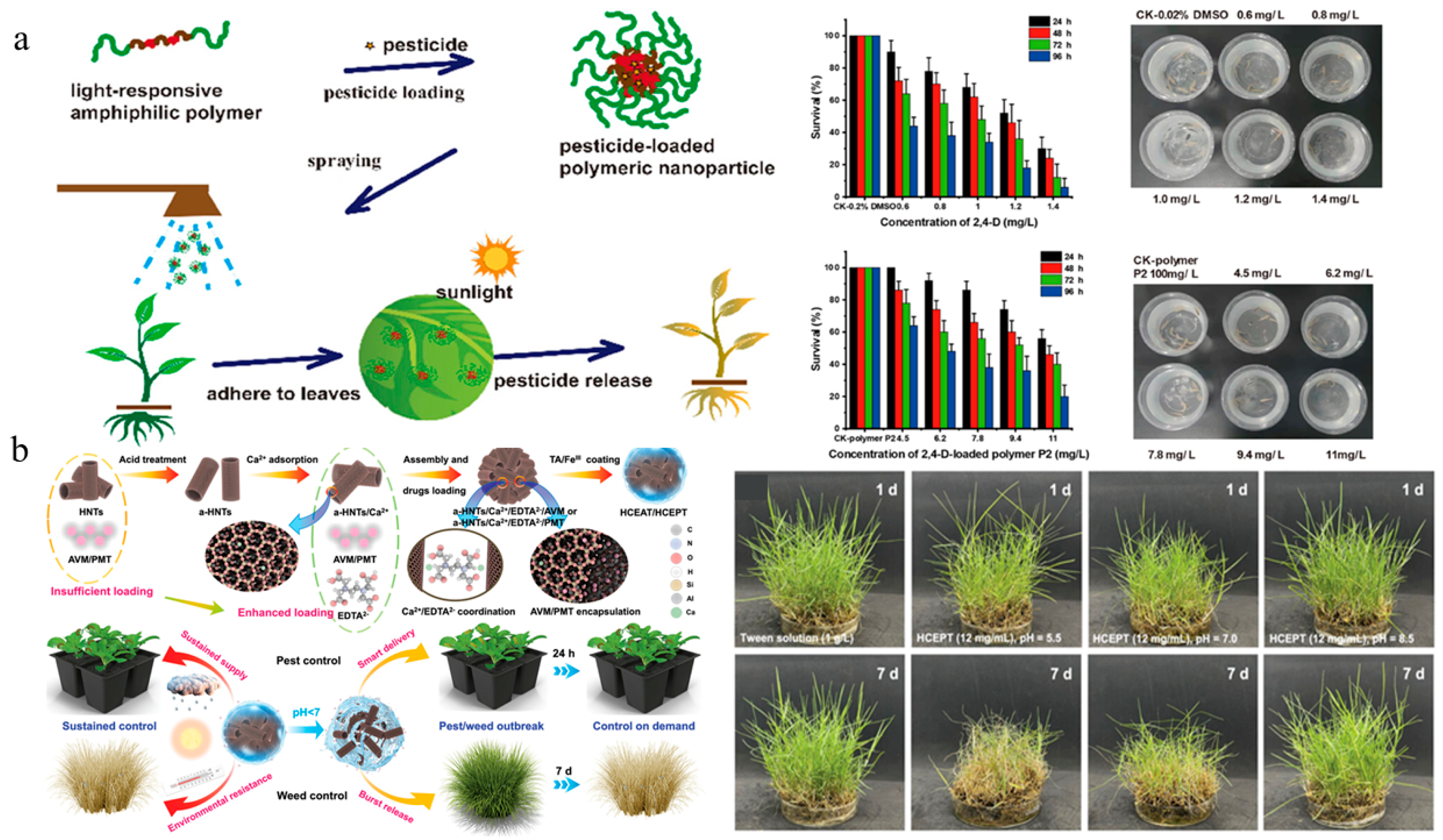 Nanomaterials 15 01304 g007