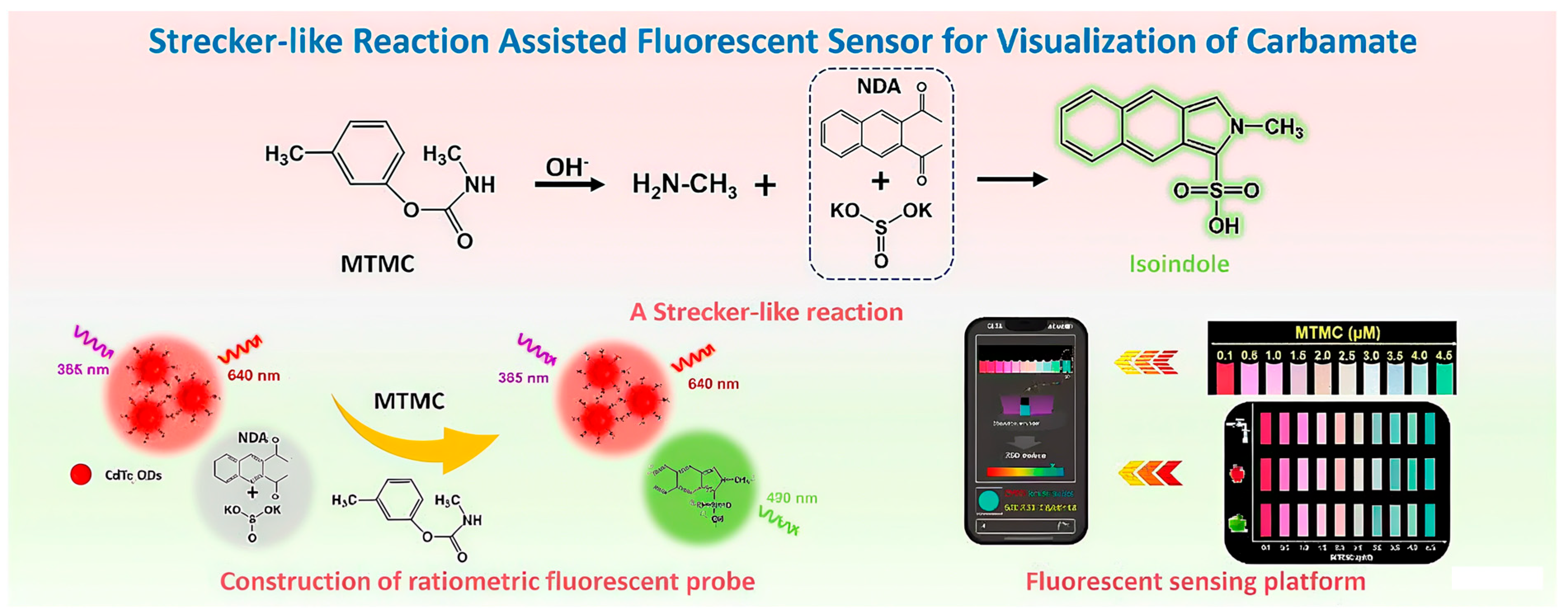 Nanomaterials 15 01305 g004 Nanomaterials 15 01305 g004
