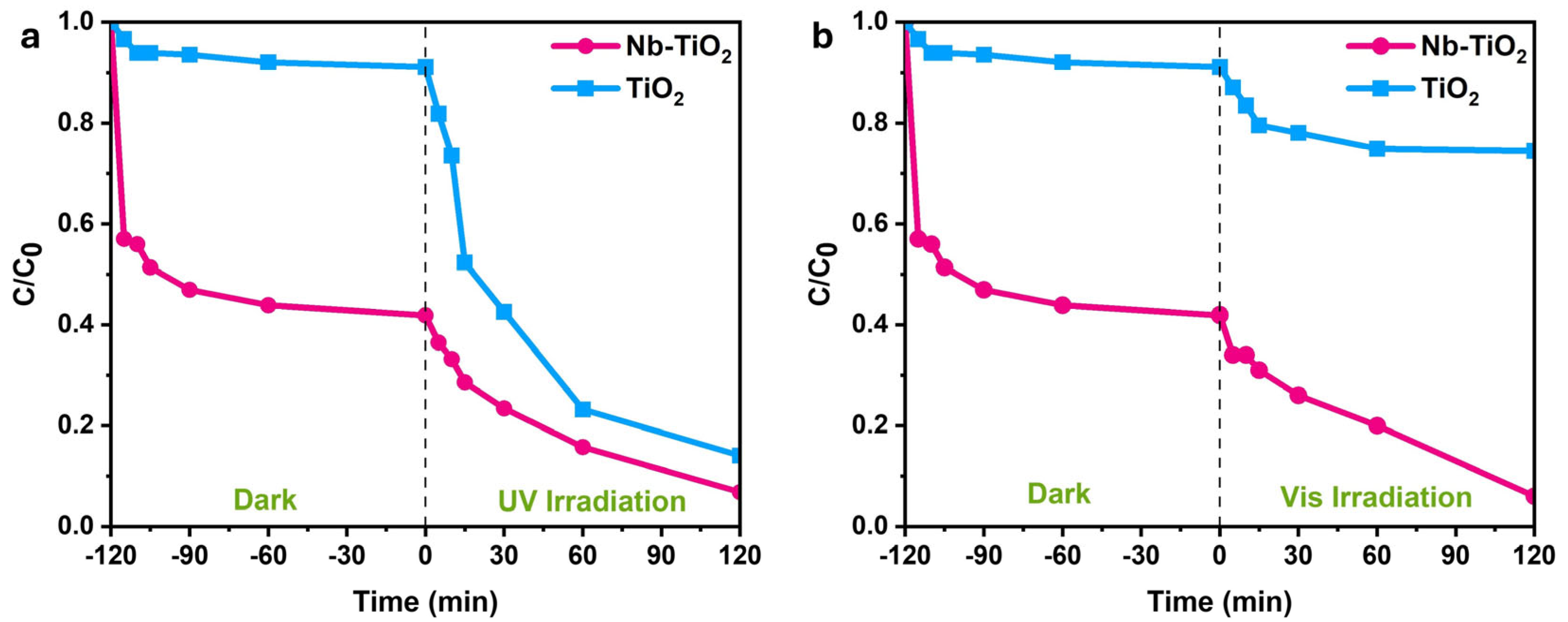 Nanomaterials 15 01307 g007