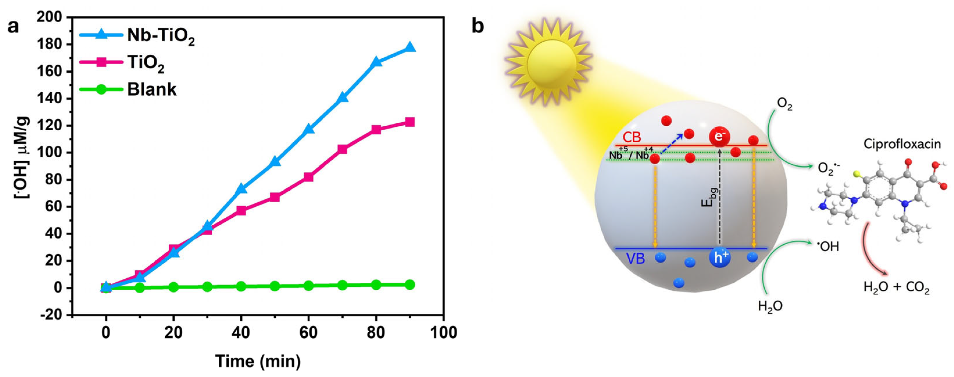 Nanomaterials 15 01307 g009