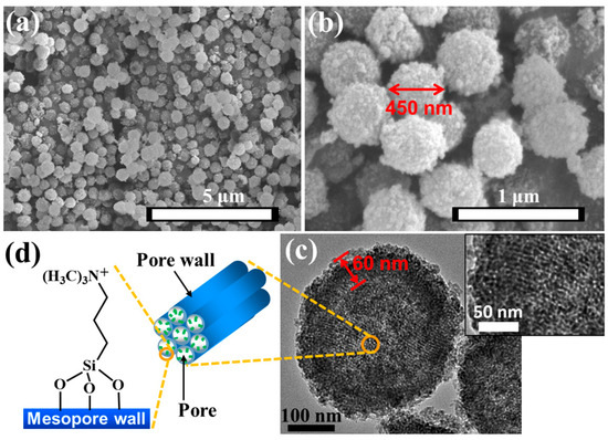 pH-Responsive Hollow Mesoporous Silica Nanoparticles with Fludarabine ...
