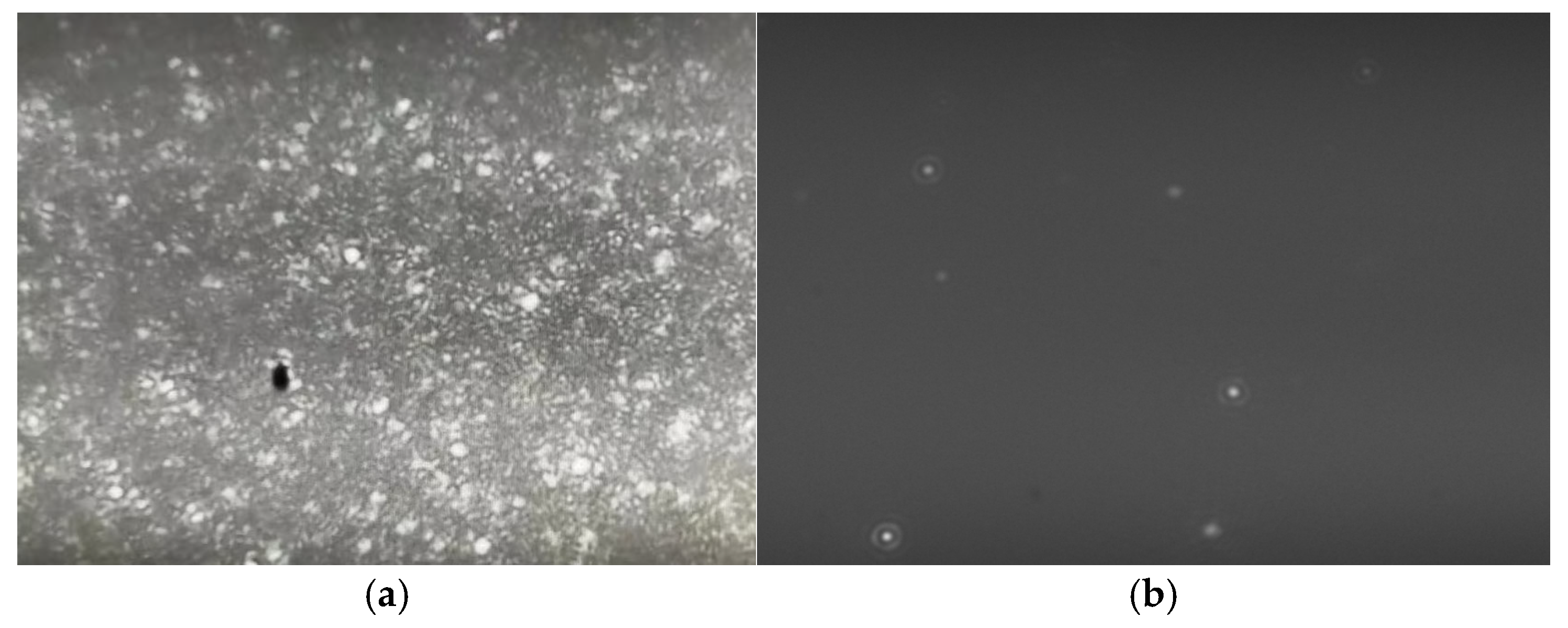 Nanomaterials 15 01309 g003