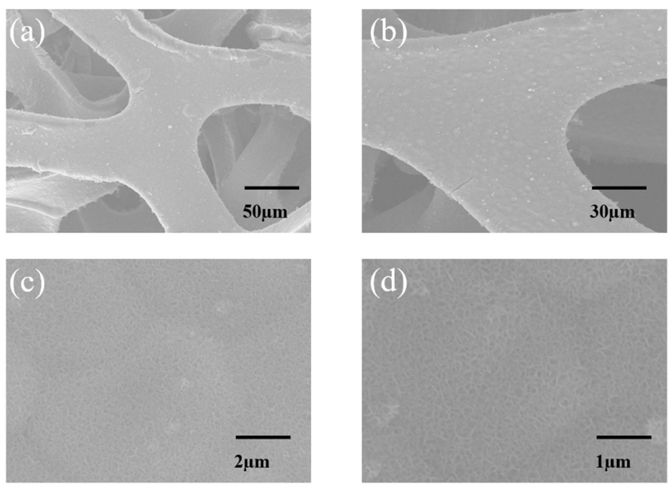 Nanomaterials 15 01312 g002 Nanomaterials 15 01312 g002