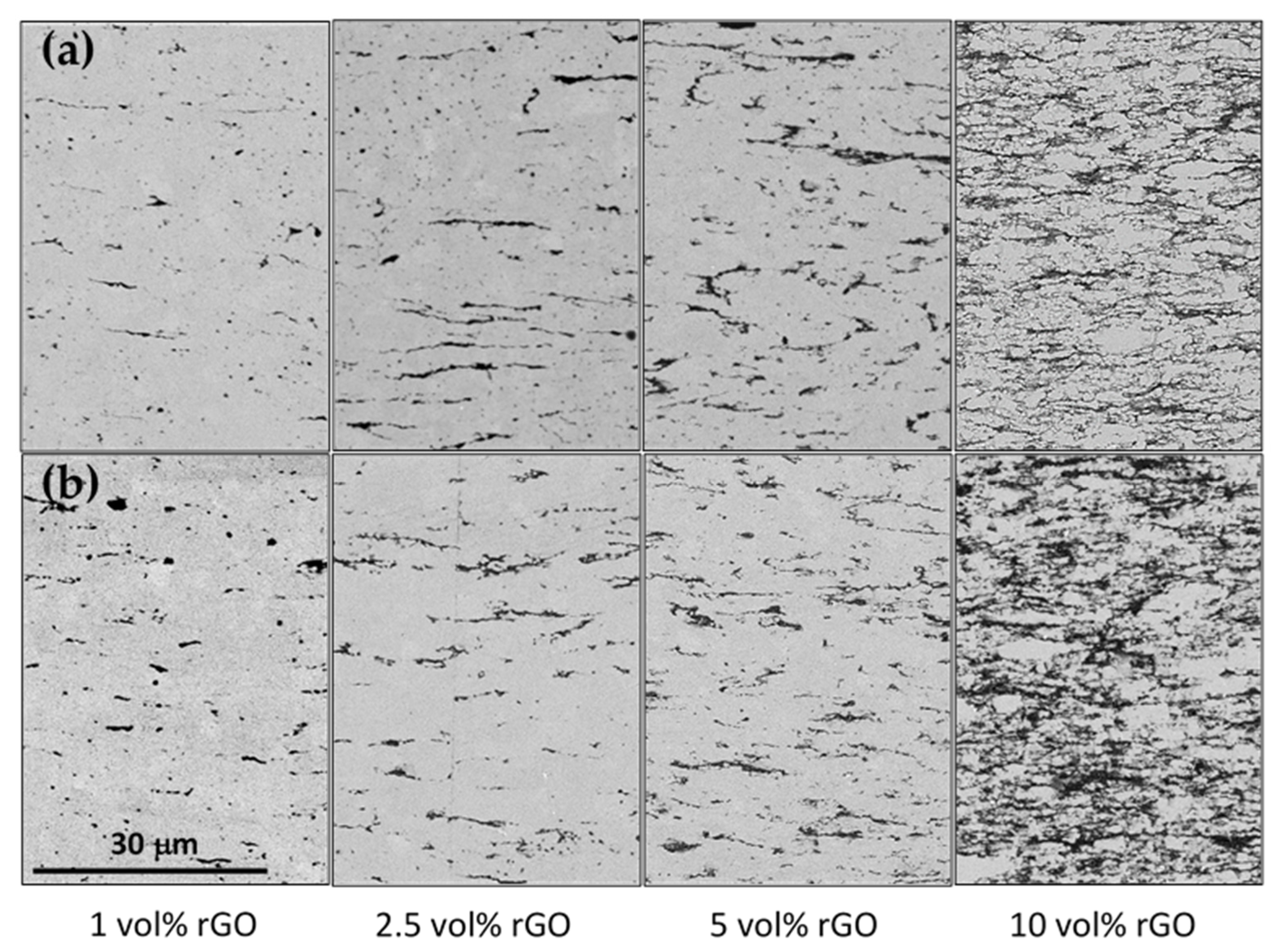 Nanomaterials 15 01314 g002