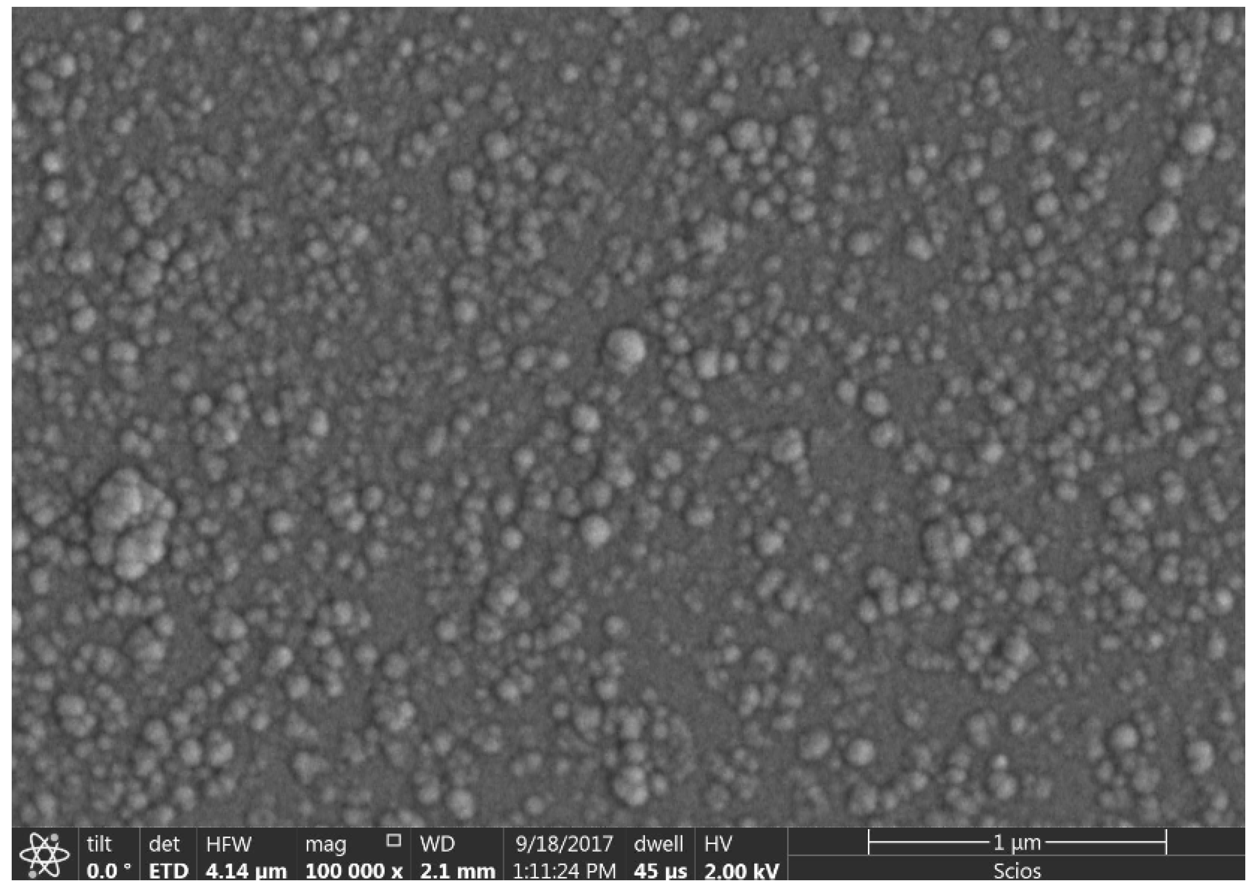 Nanomaterials 15 01316 g005