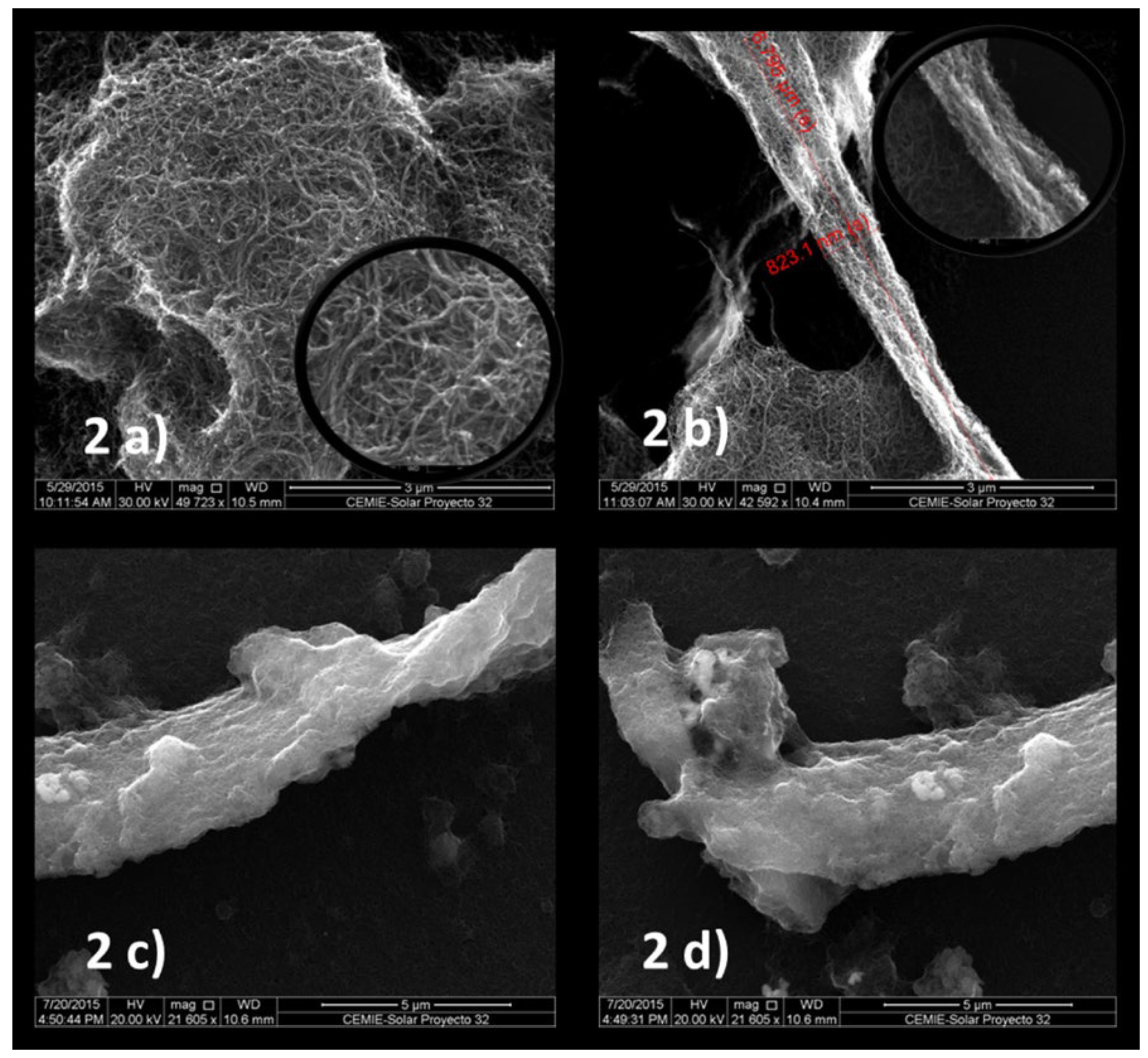 Nanomaterials 15 01316 g011