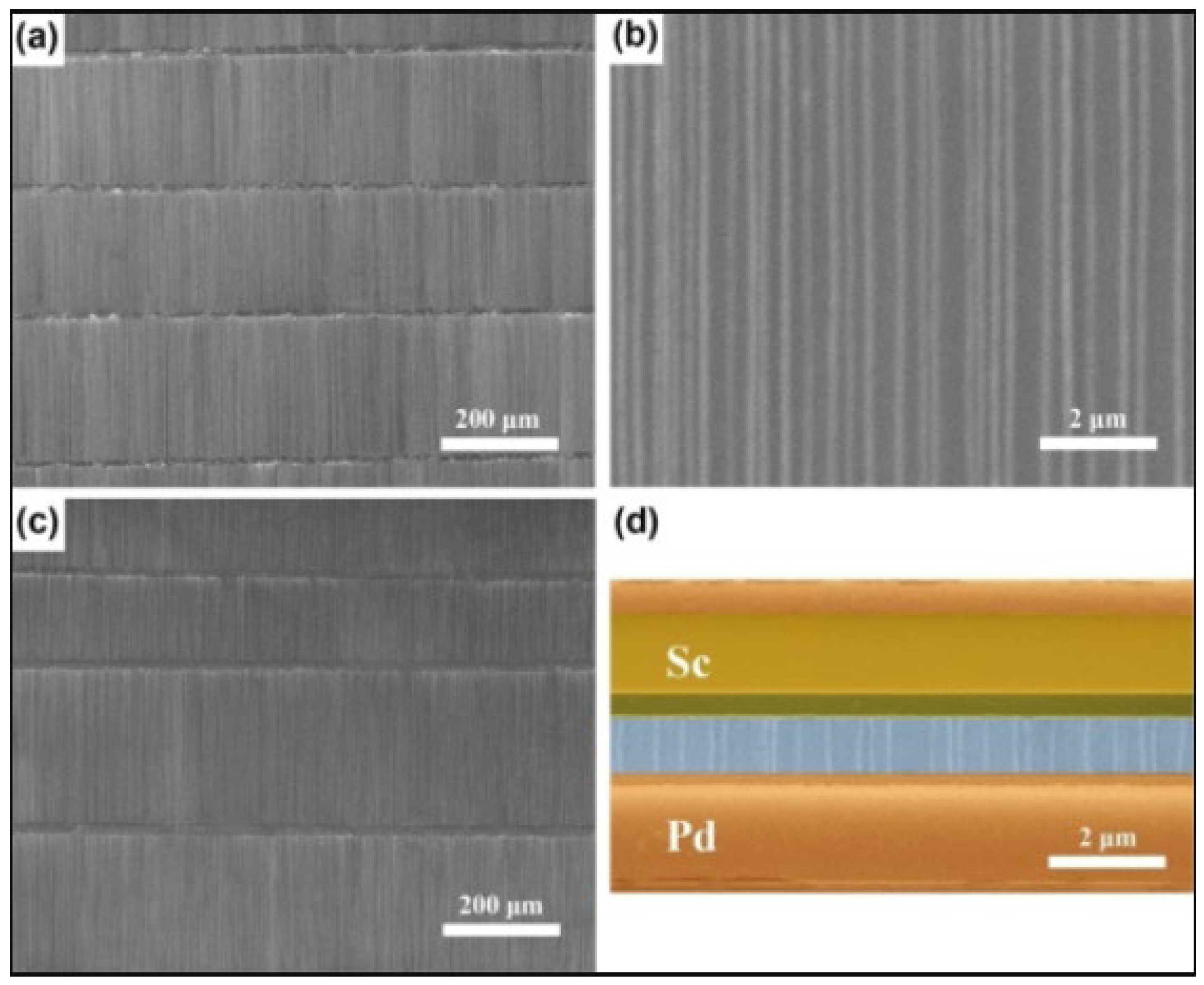 Nanomaterials 15 01316 g015