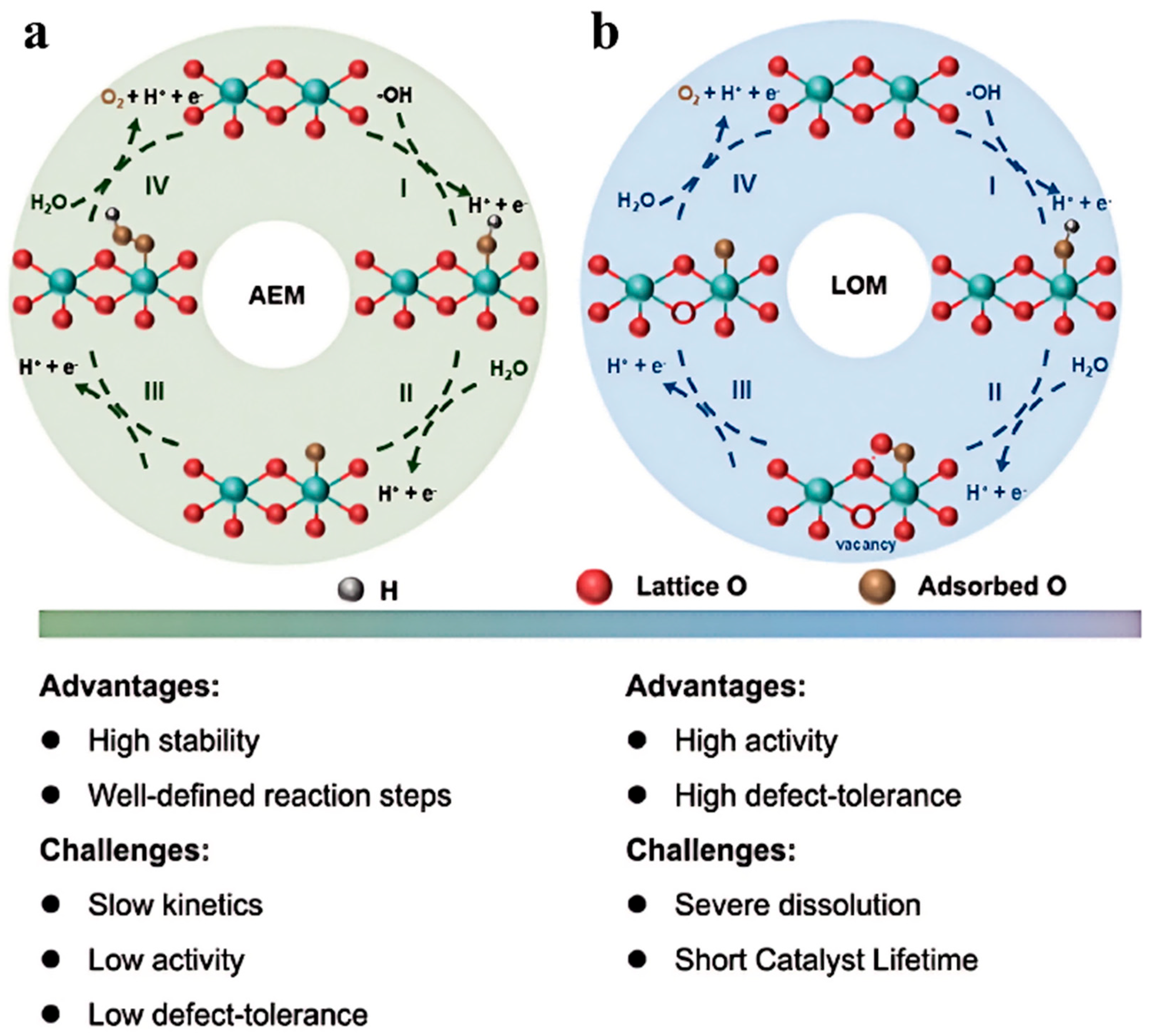 Nanomaterials 15 01319 g001