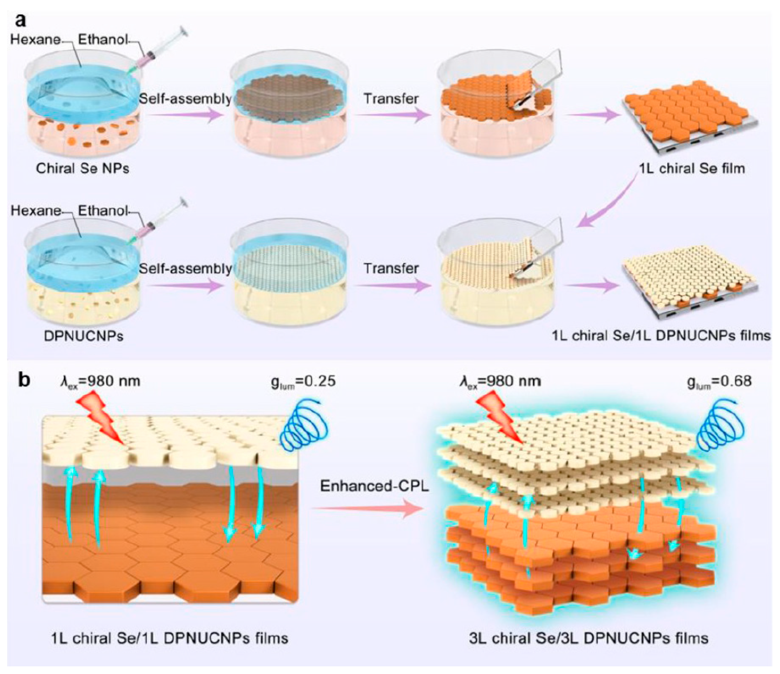Nanomaterials 15 01321 g005