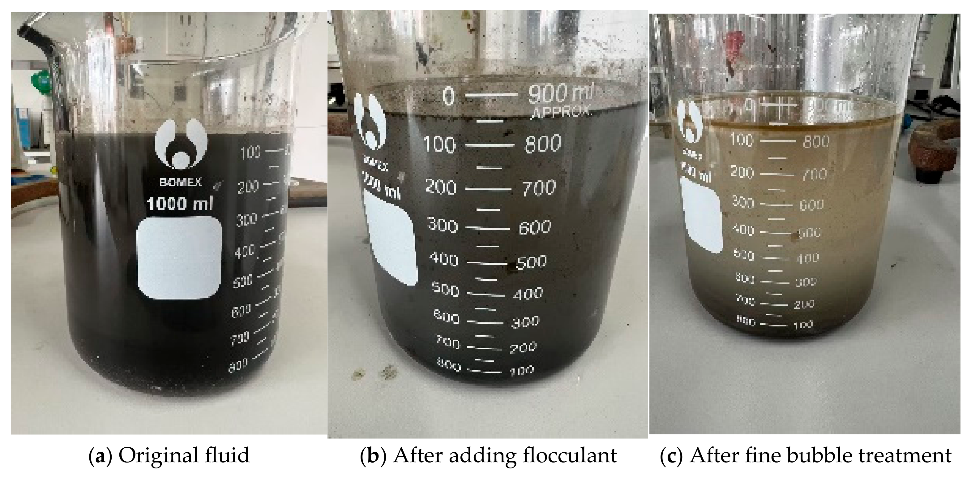 Nanomaterials 15 01324 g010