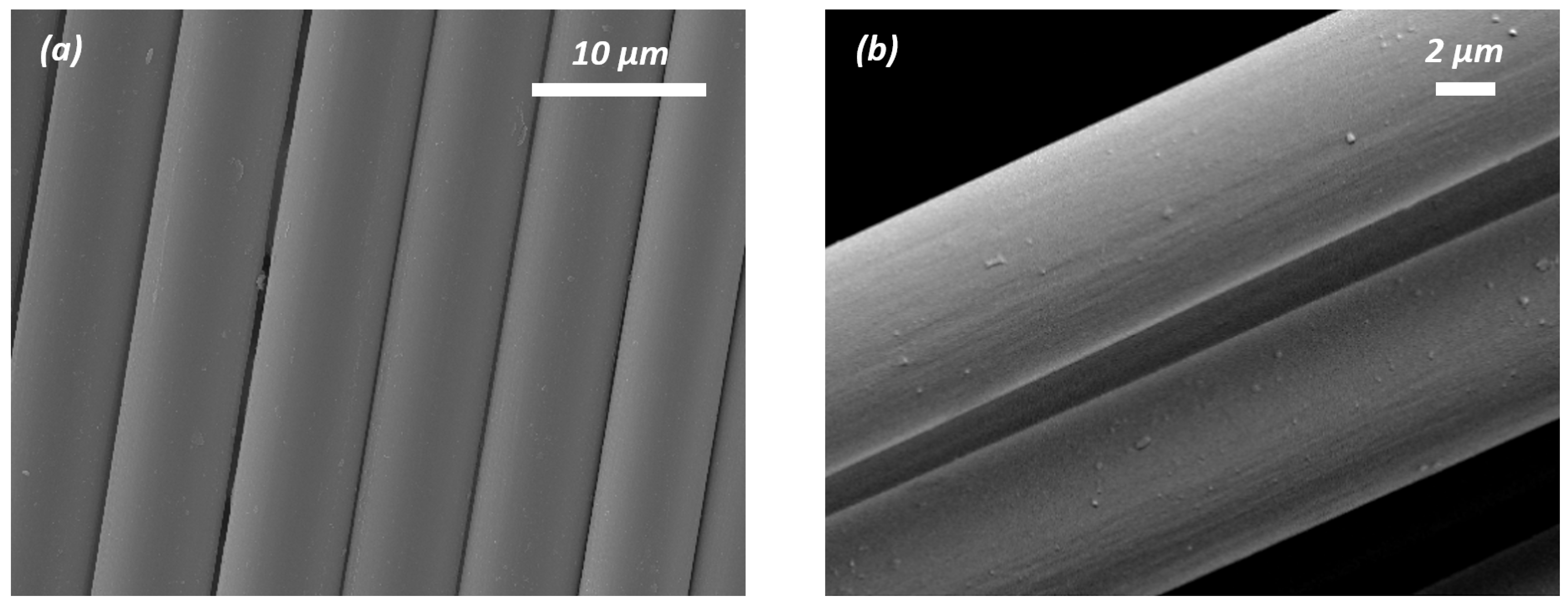 Nanomaterials 15 01325 g006a Nanomaterials 15 01325 g006a