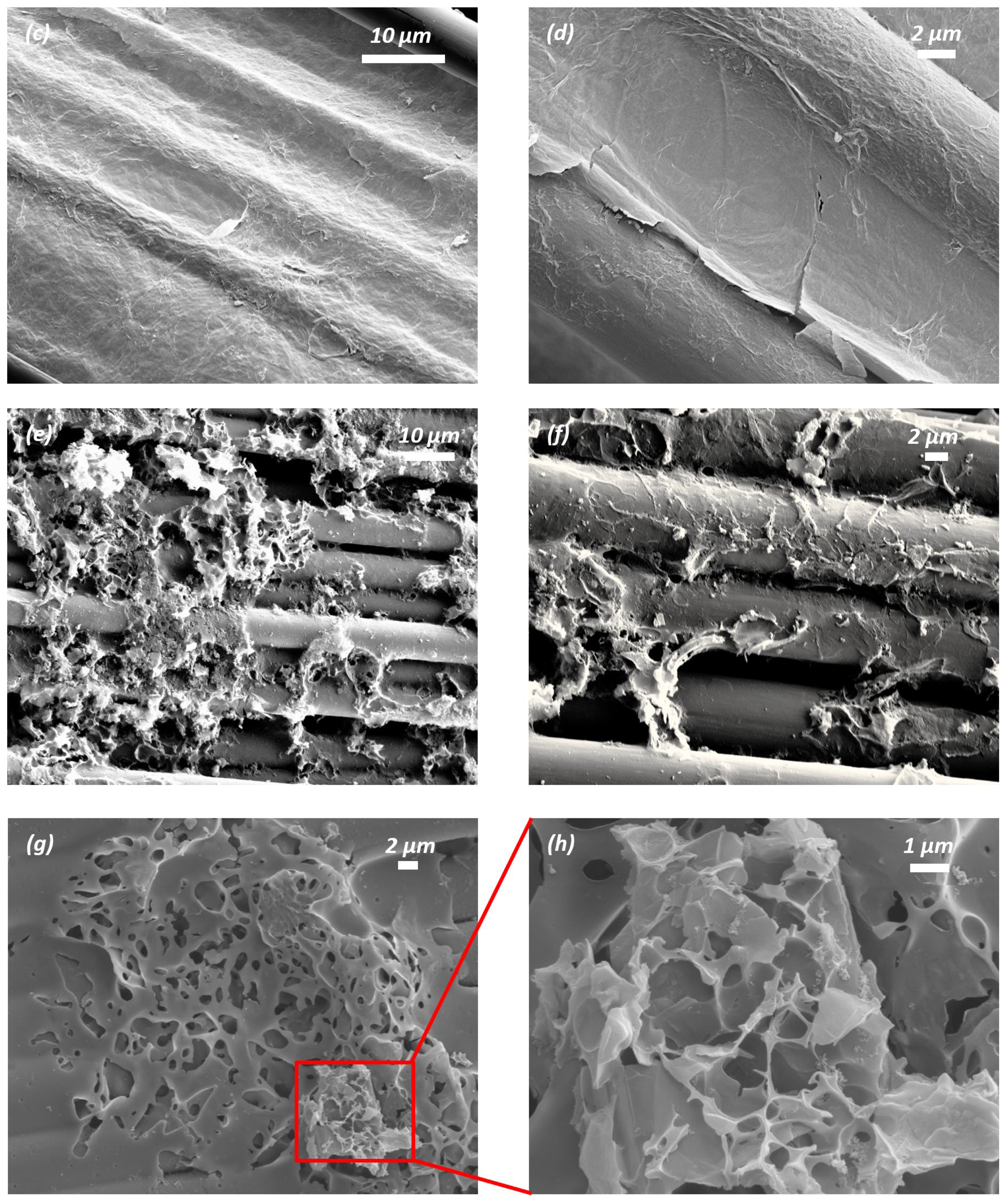 Nanomaterials 15 01325 g006b Nanomaterials 15 01325 g006b