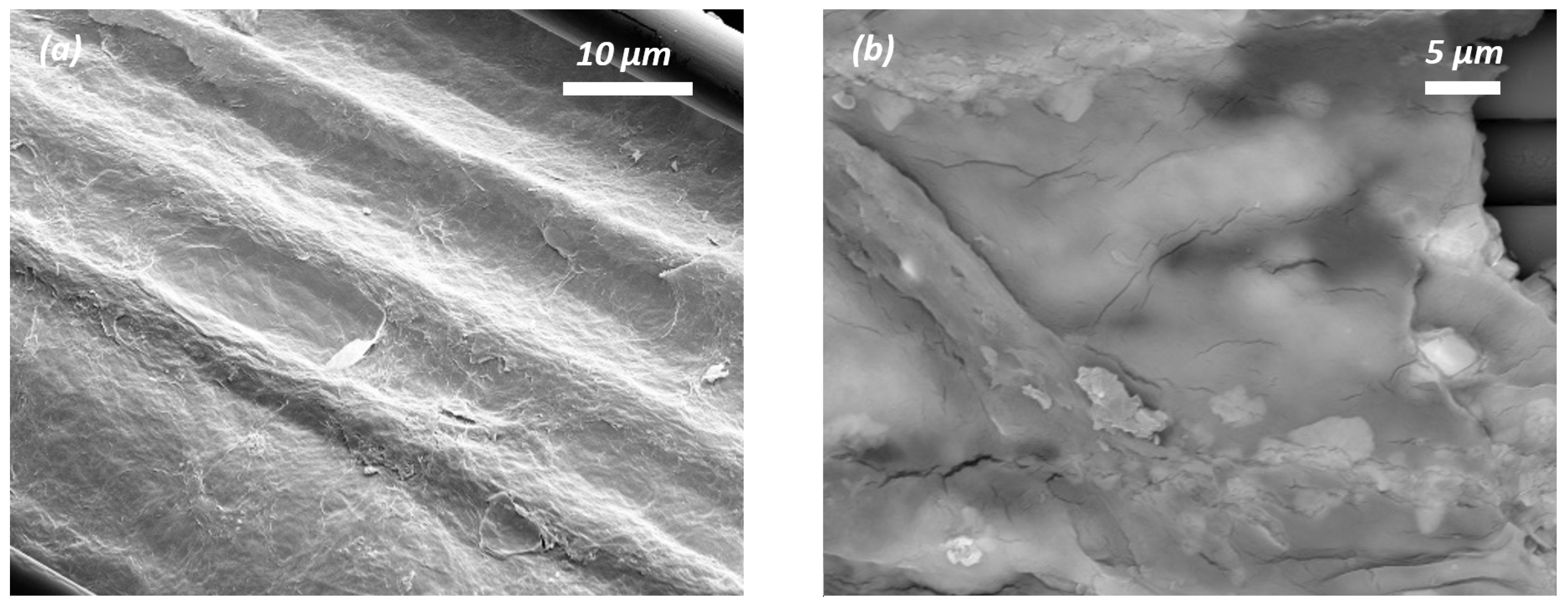 Nanomaterials 15 01325 g009a Nanomaterials 15 01325 g009a