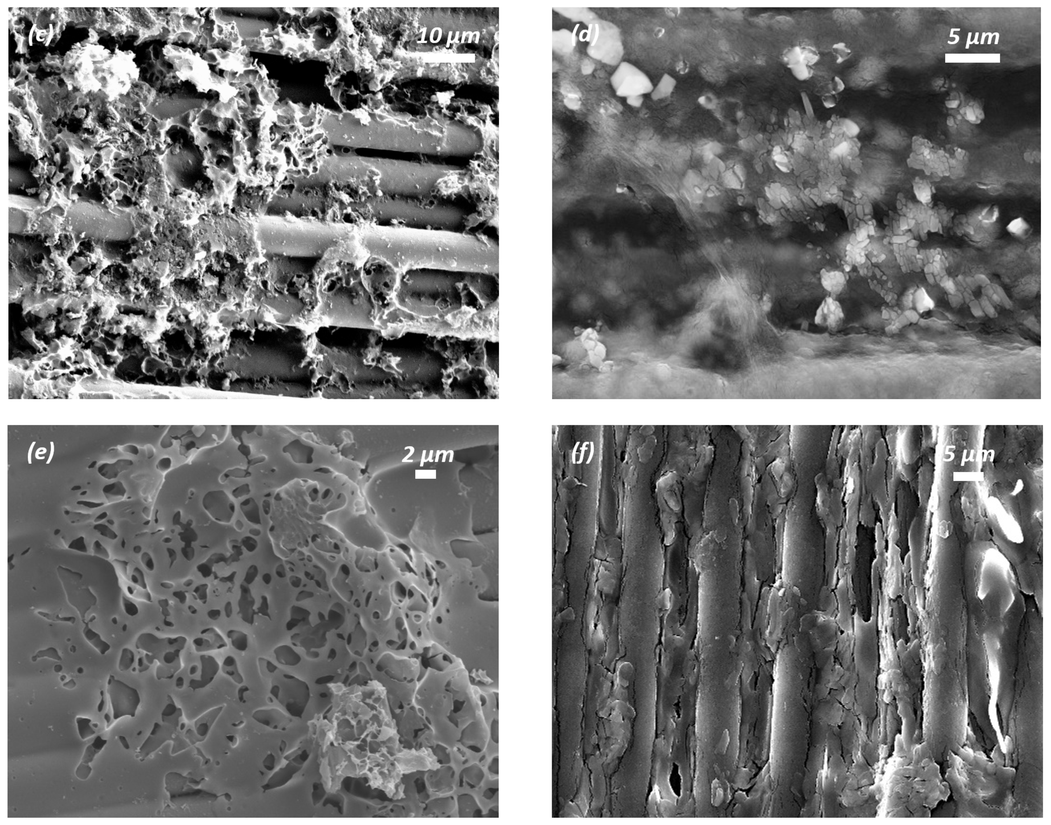 Nanomaterials 15 01325 g009b Nanomaterials 15 01325 g009b