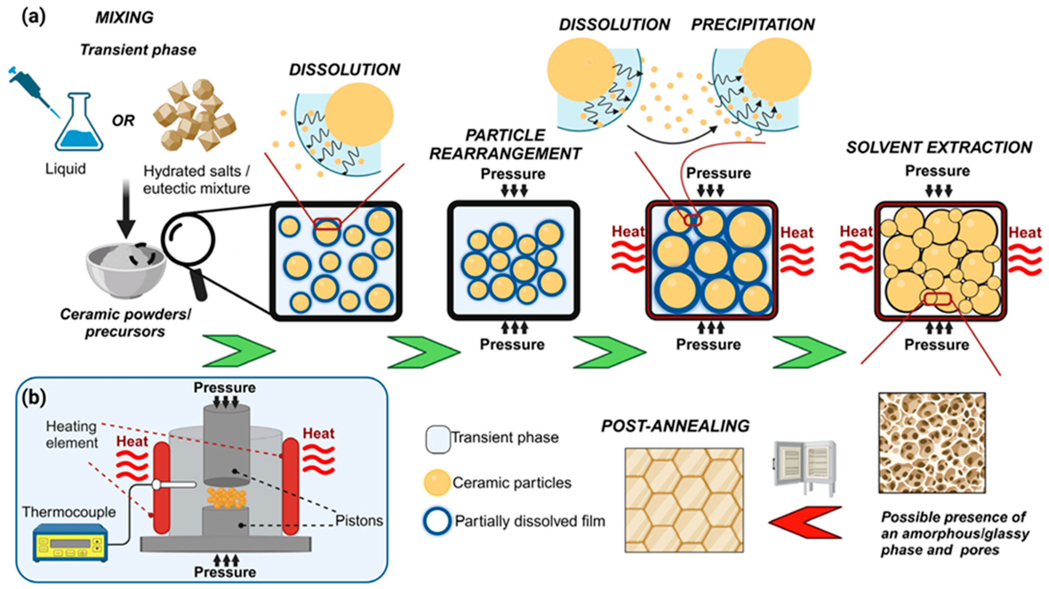 Nanomaterials 15 01329 g011