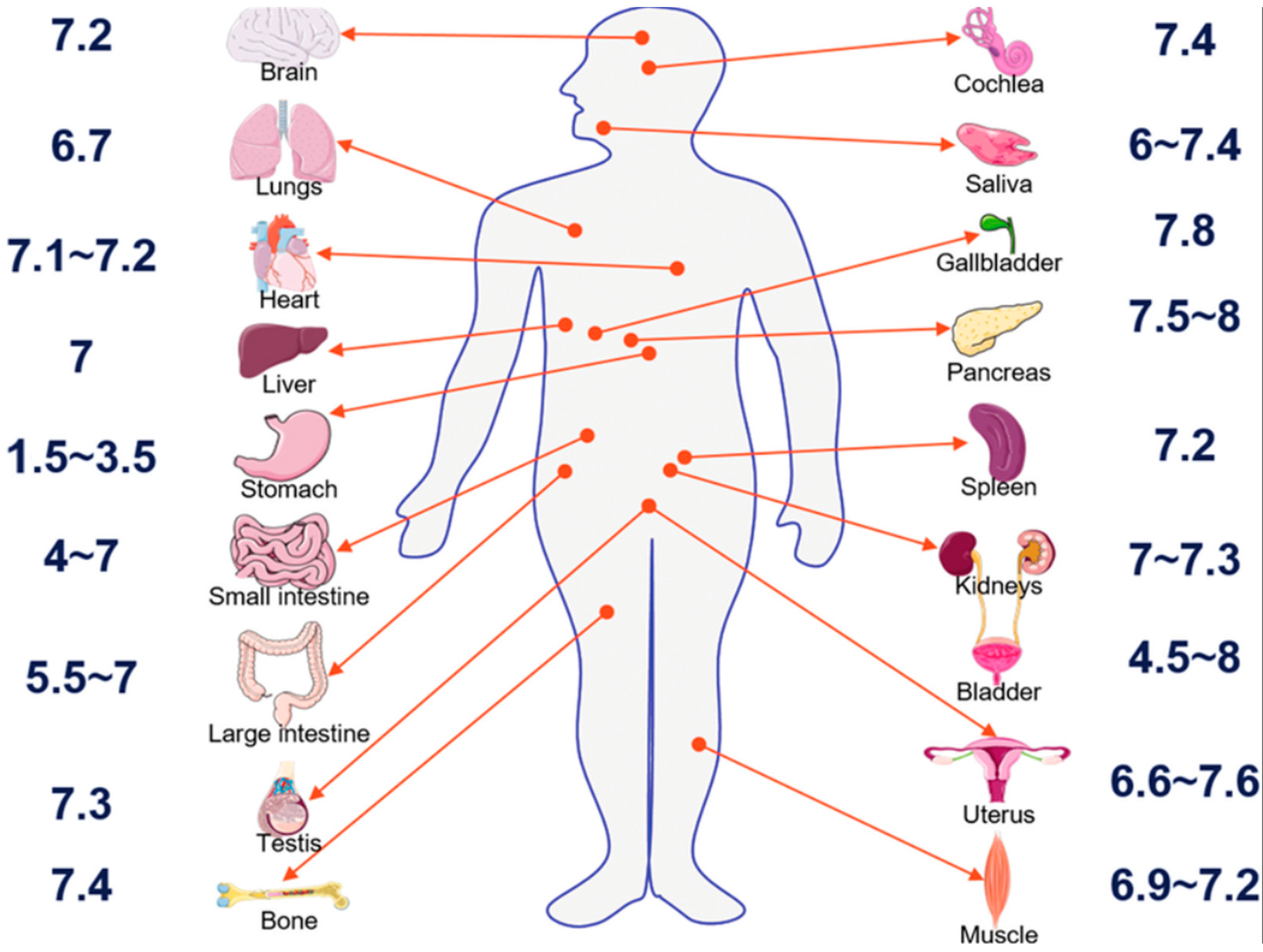 Nanomaterials 15 01330 g0a1