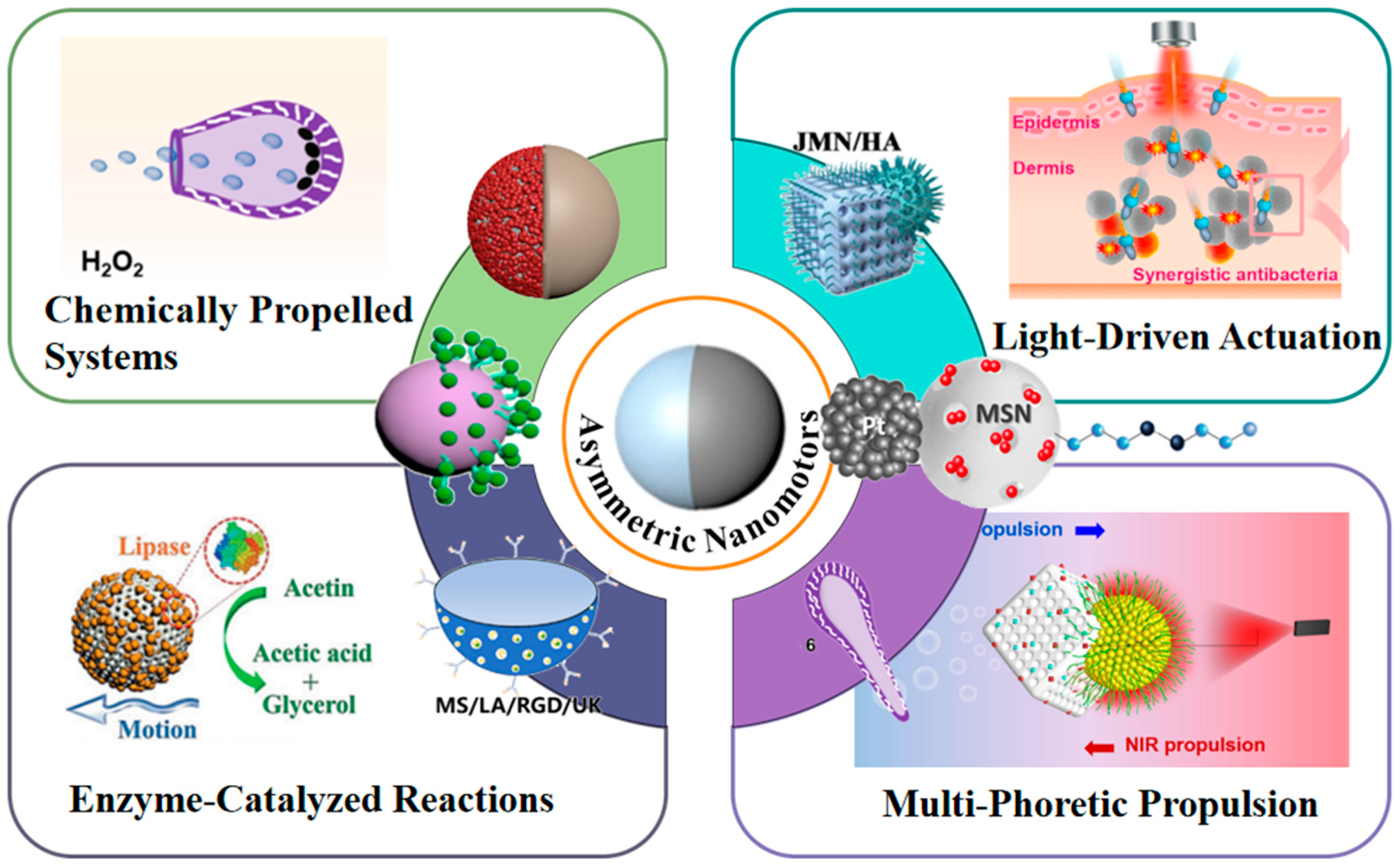 Nanomaterials 15 01333 g001