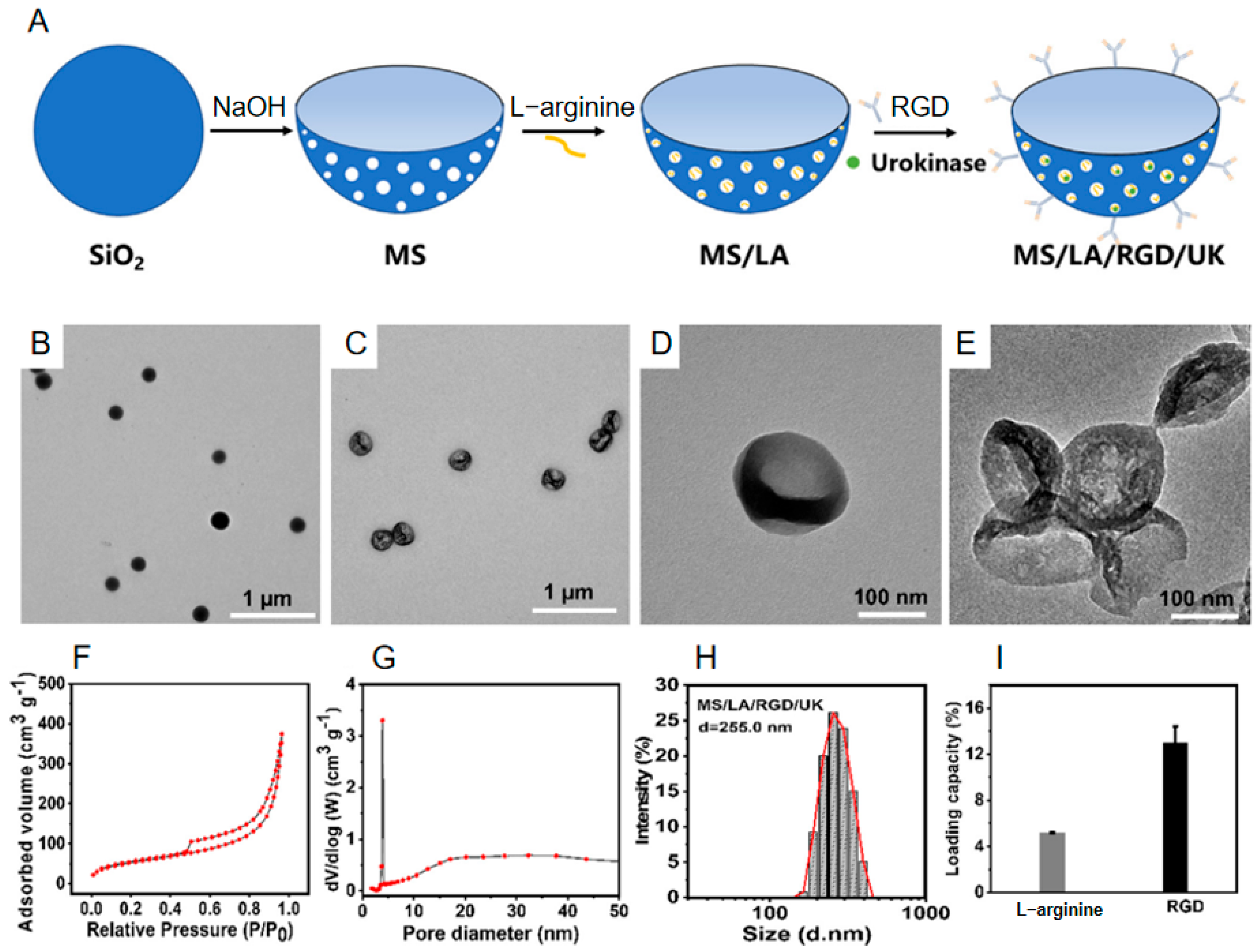 Nanomaterials 15 01333 g002