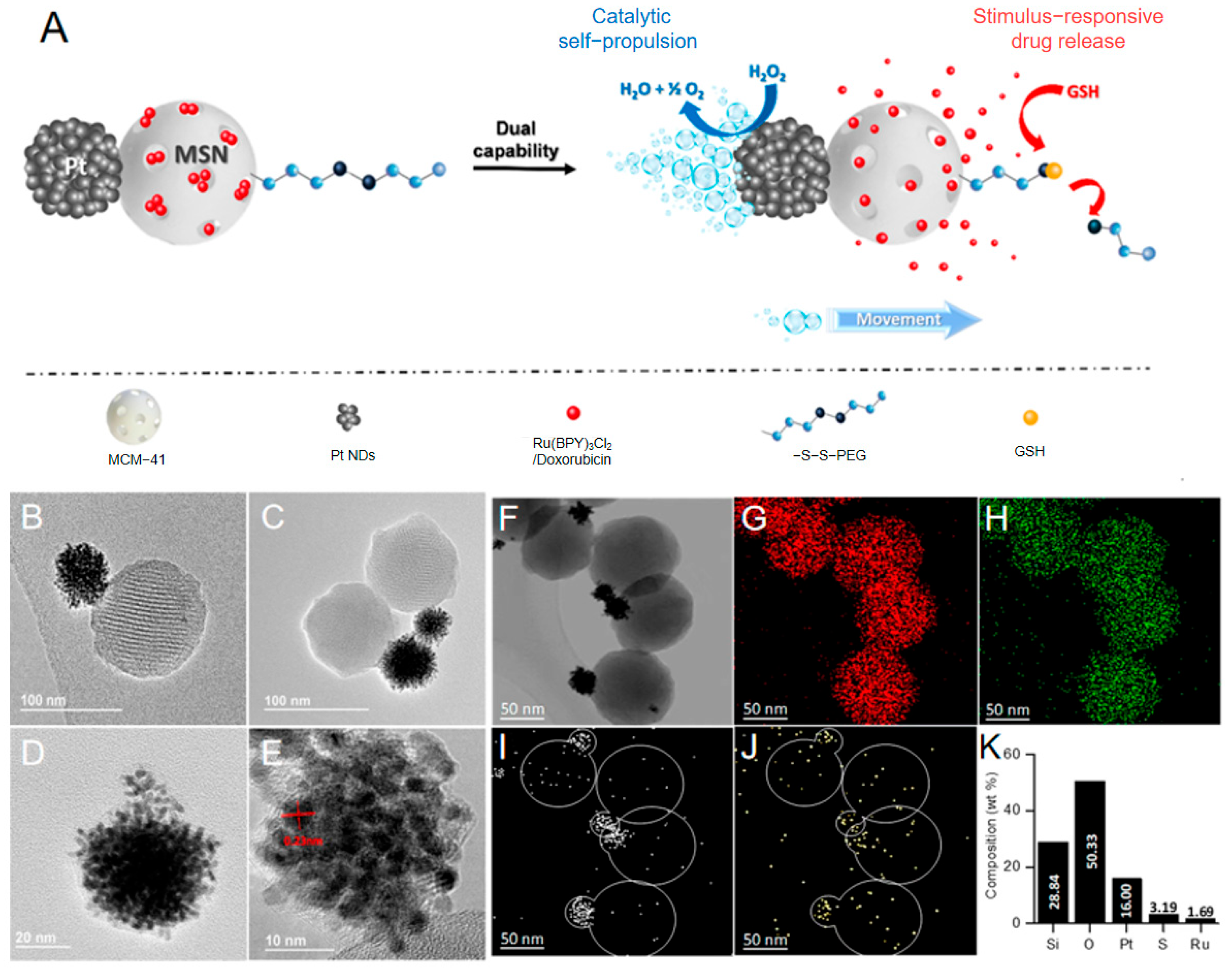 Nanomaterials 15 01333 g006