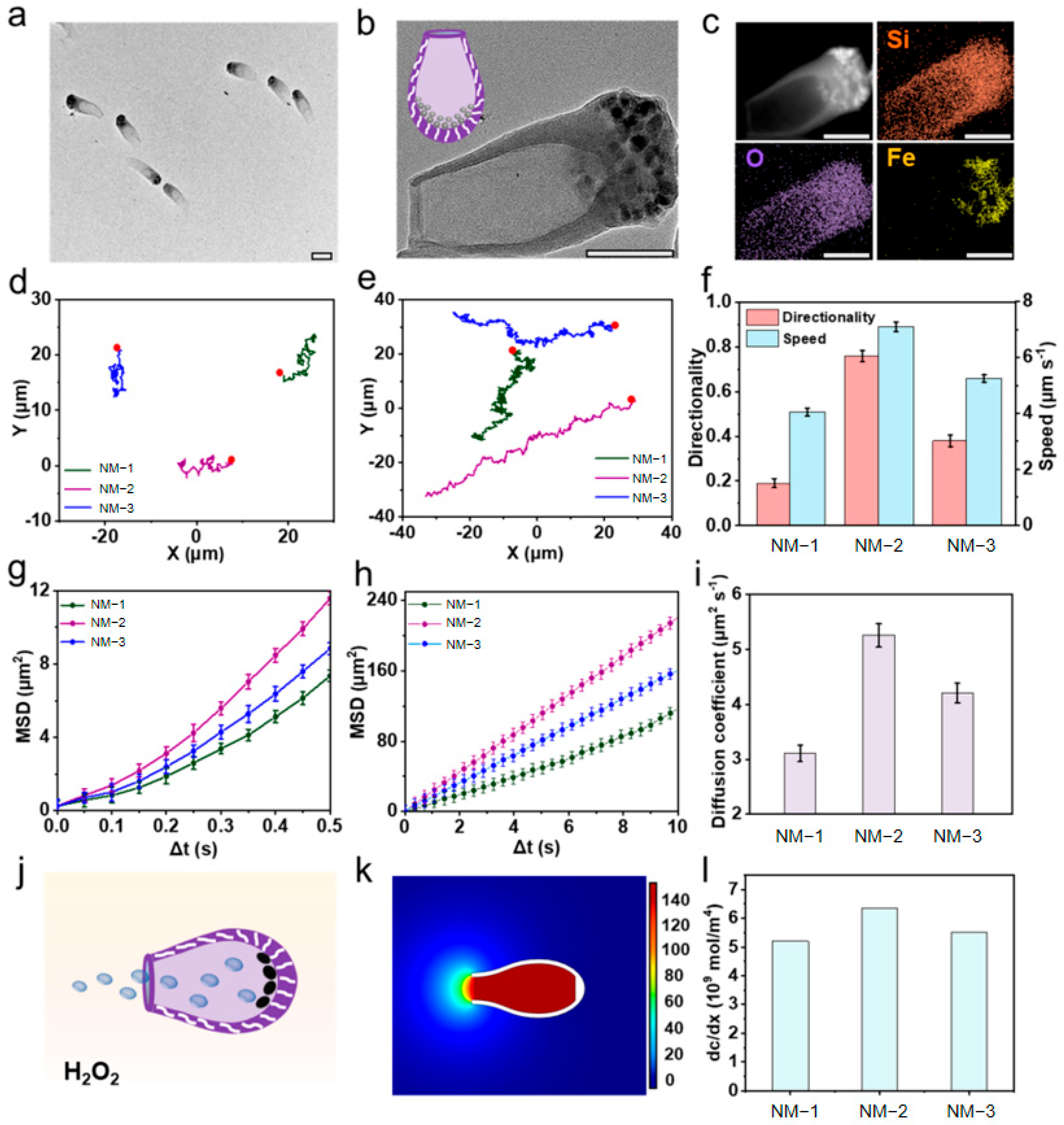 Nanomaterials 15 01333 g009