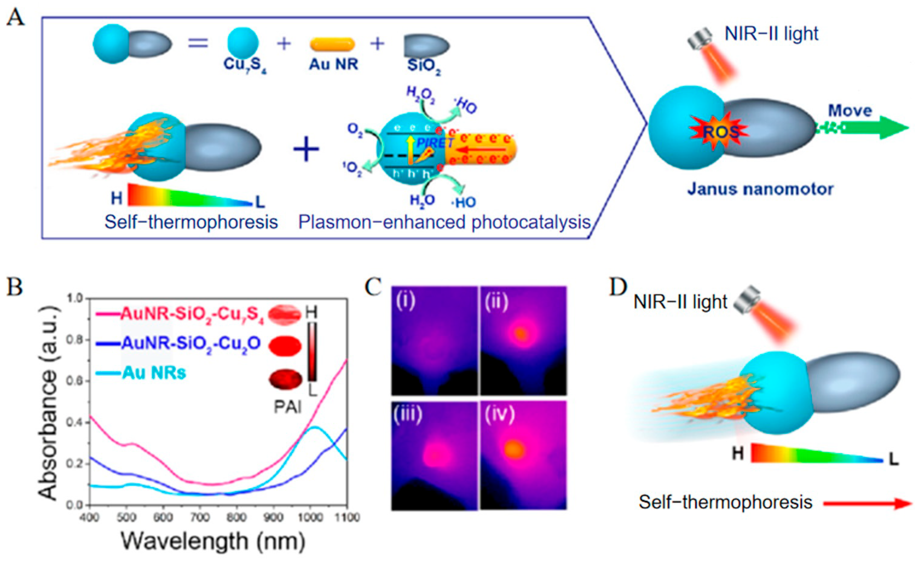 Nanomaterials 15 01333 g010