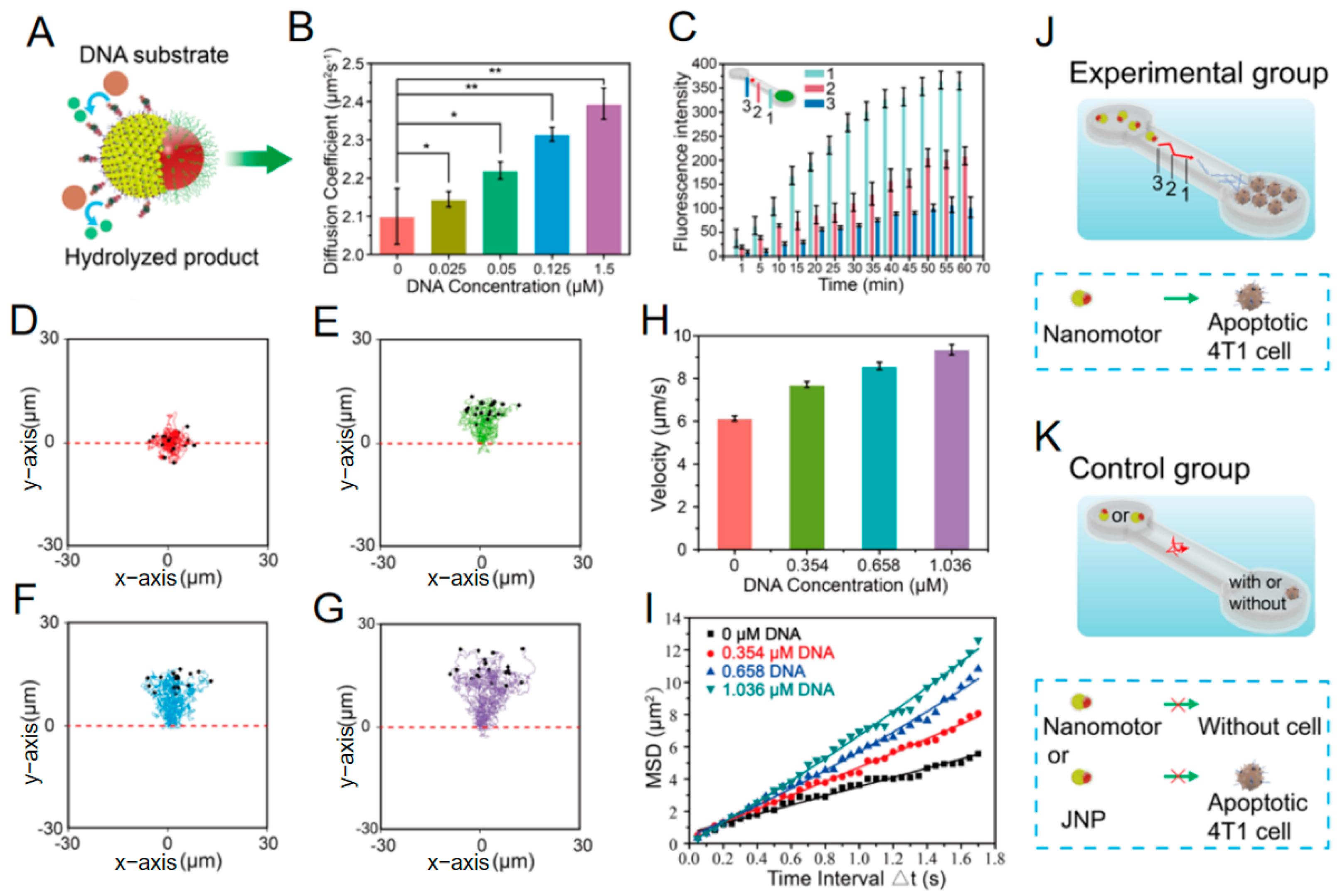 Nanomaterials 15 01333 g012