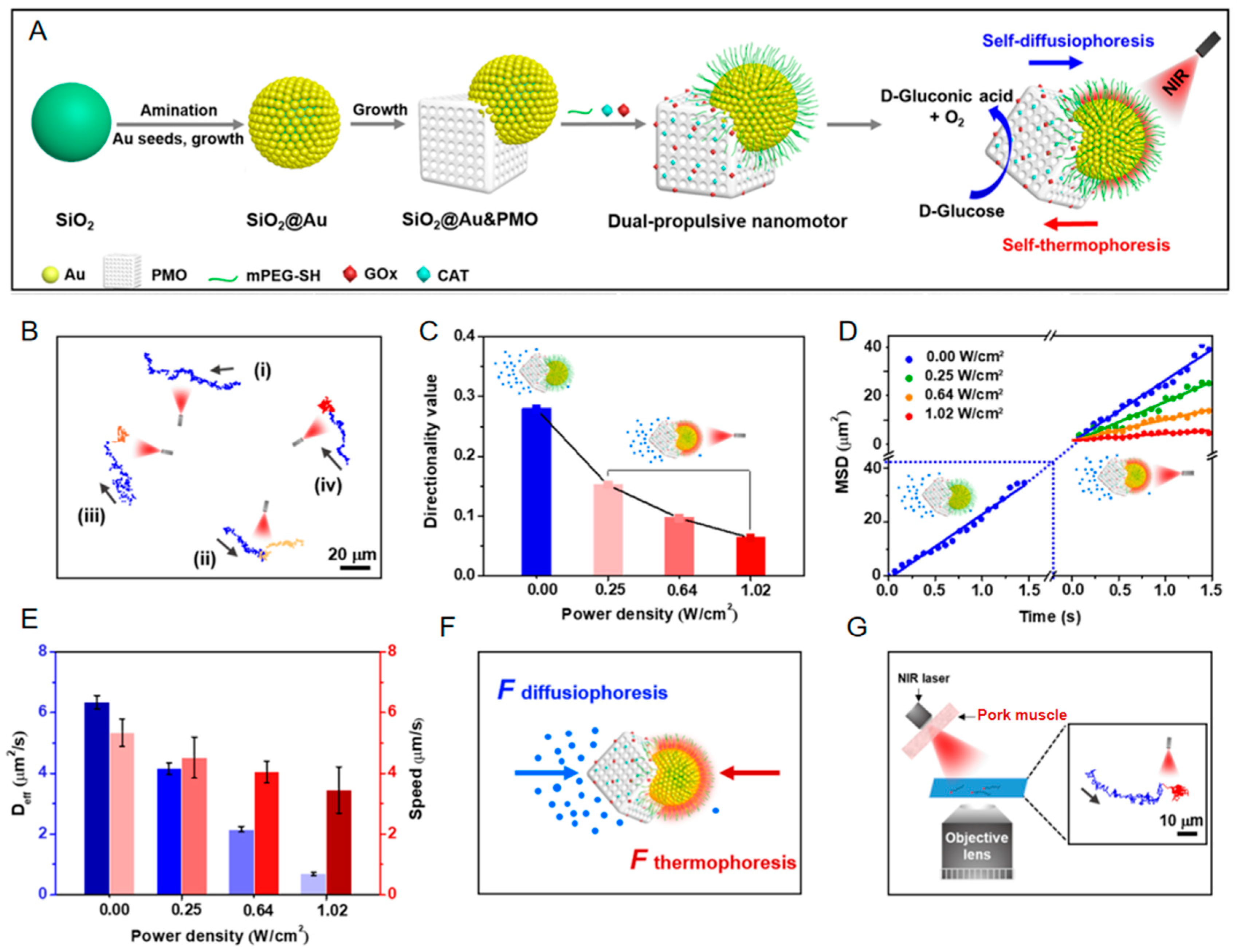 Nanomaterials 15 01333 g013