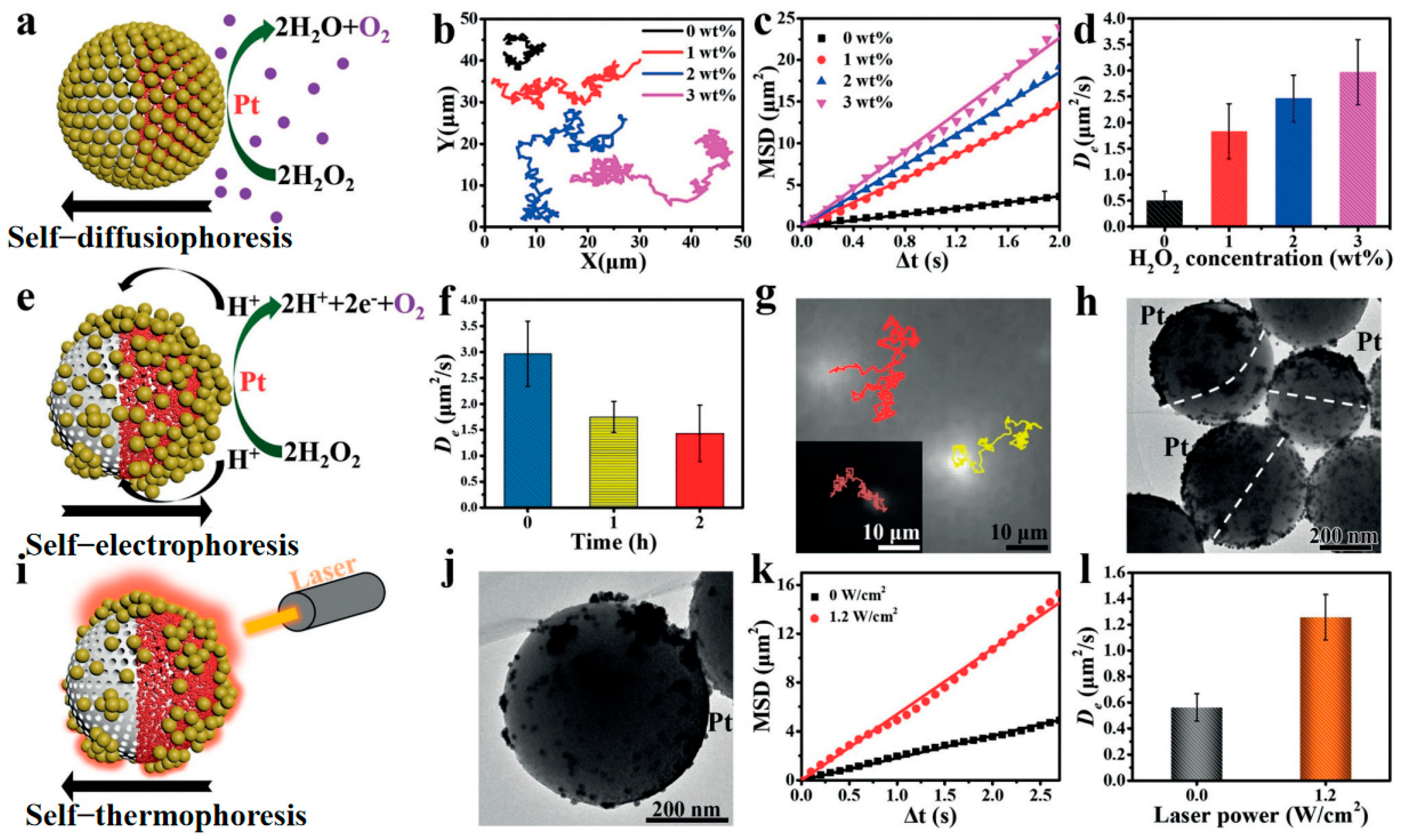 Nanomaterials 15 01333 g014