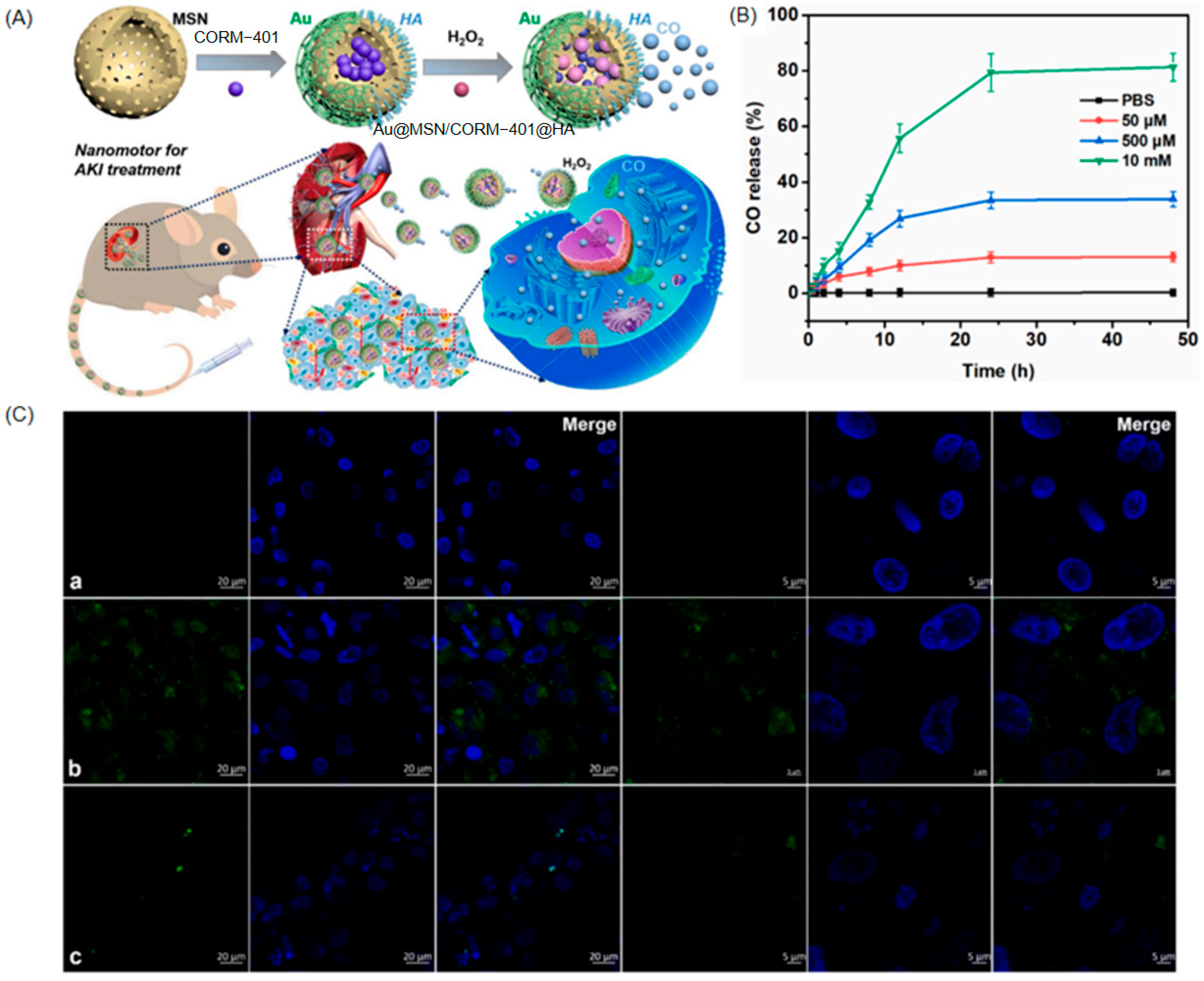 Nanomaterials 15 01333 g016