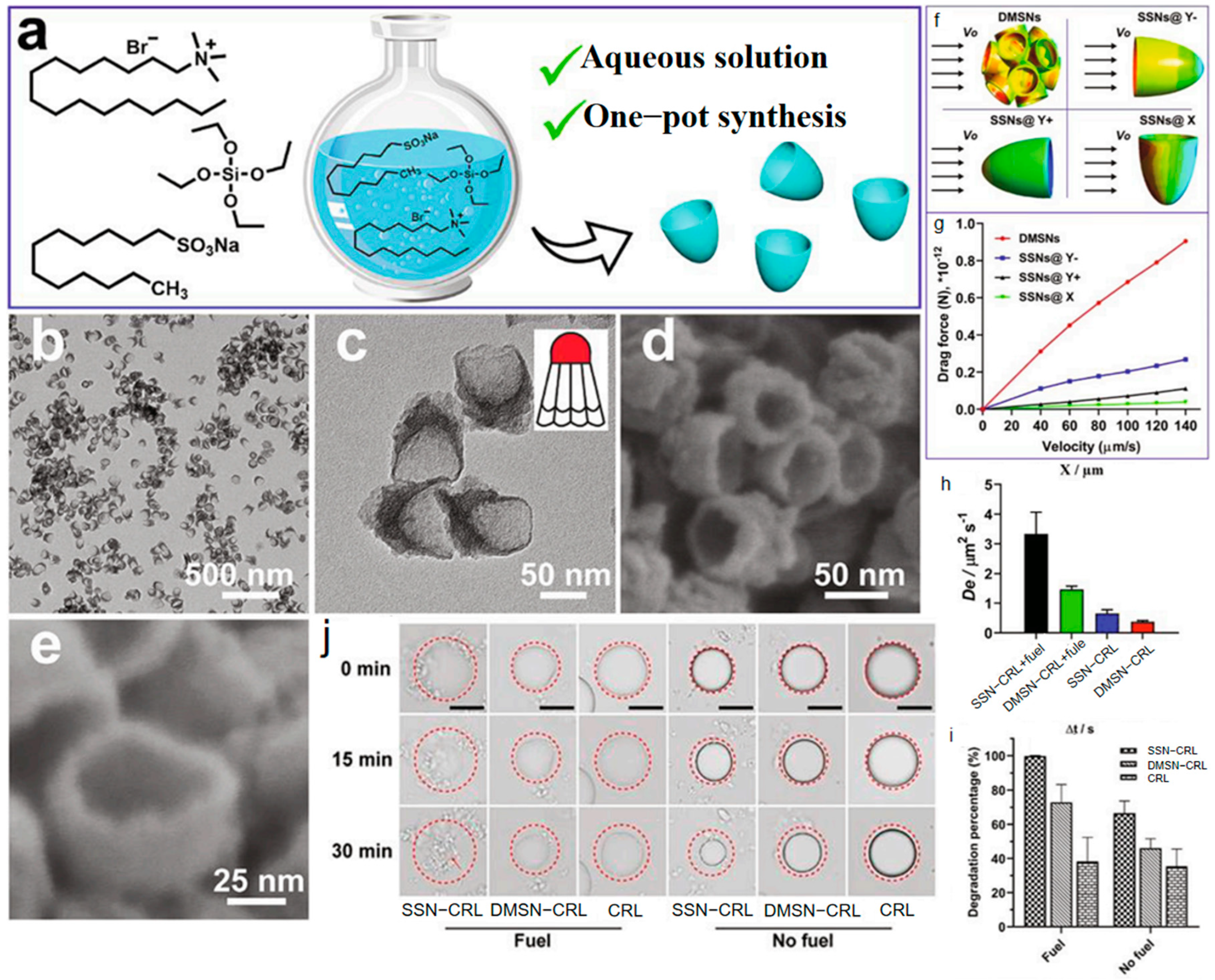 Nanomaterials 15 01333 g017