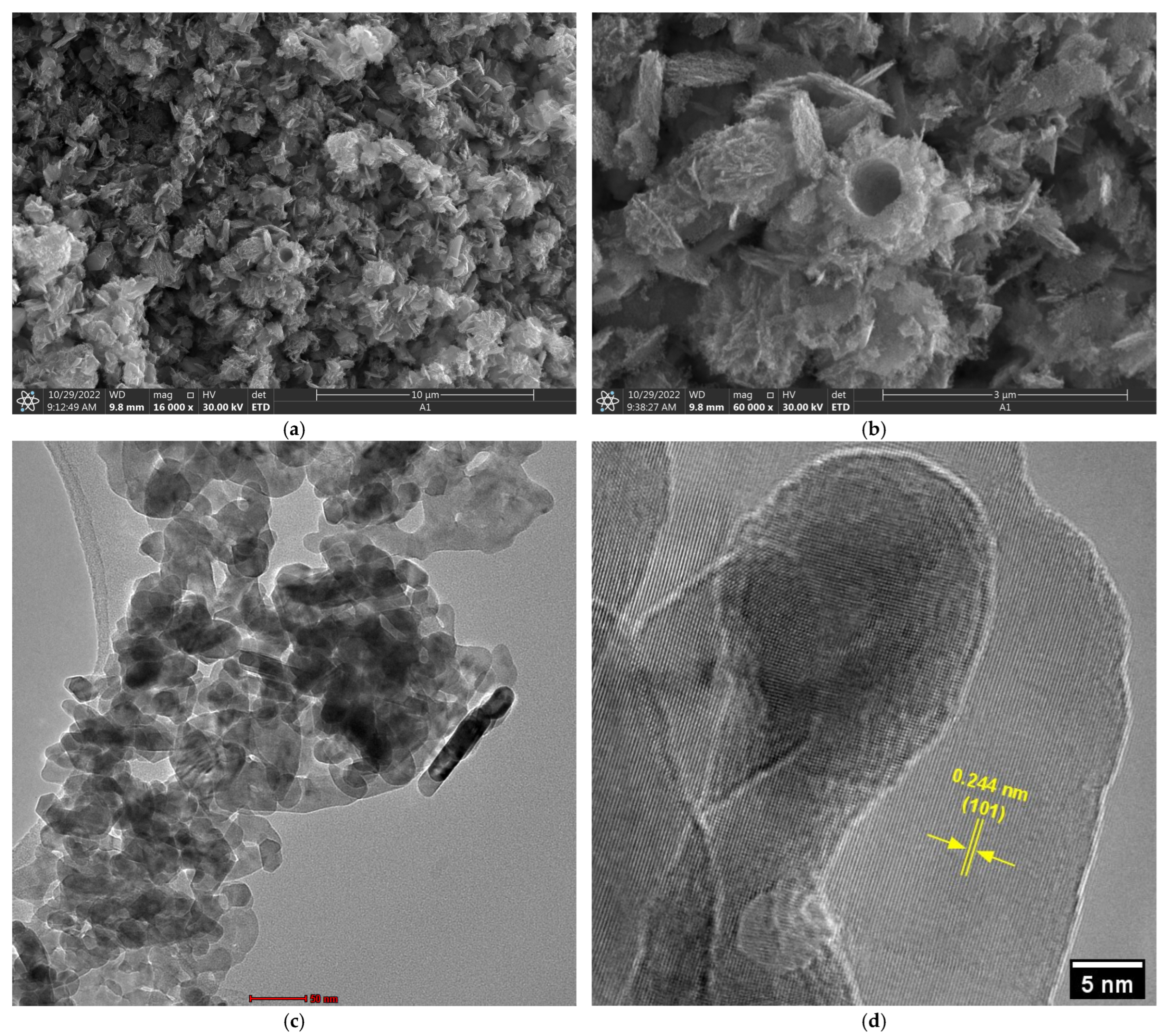 Nanomaterials 15 01338 g004