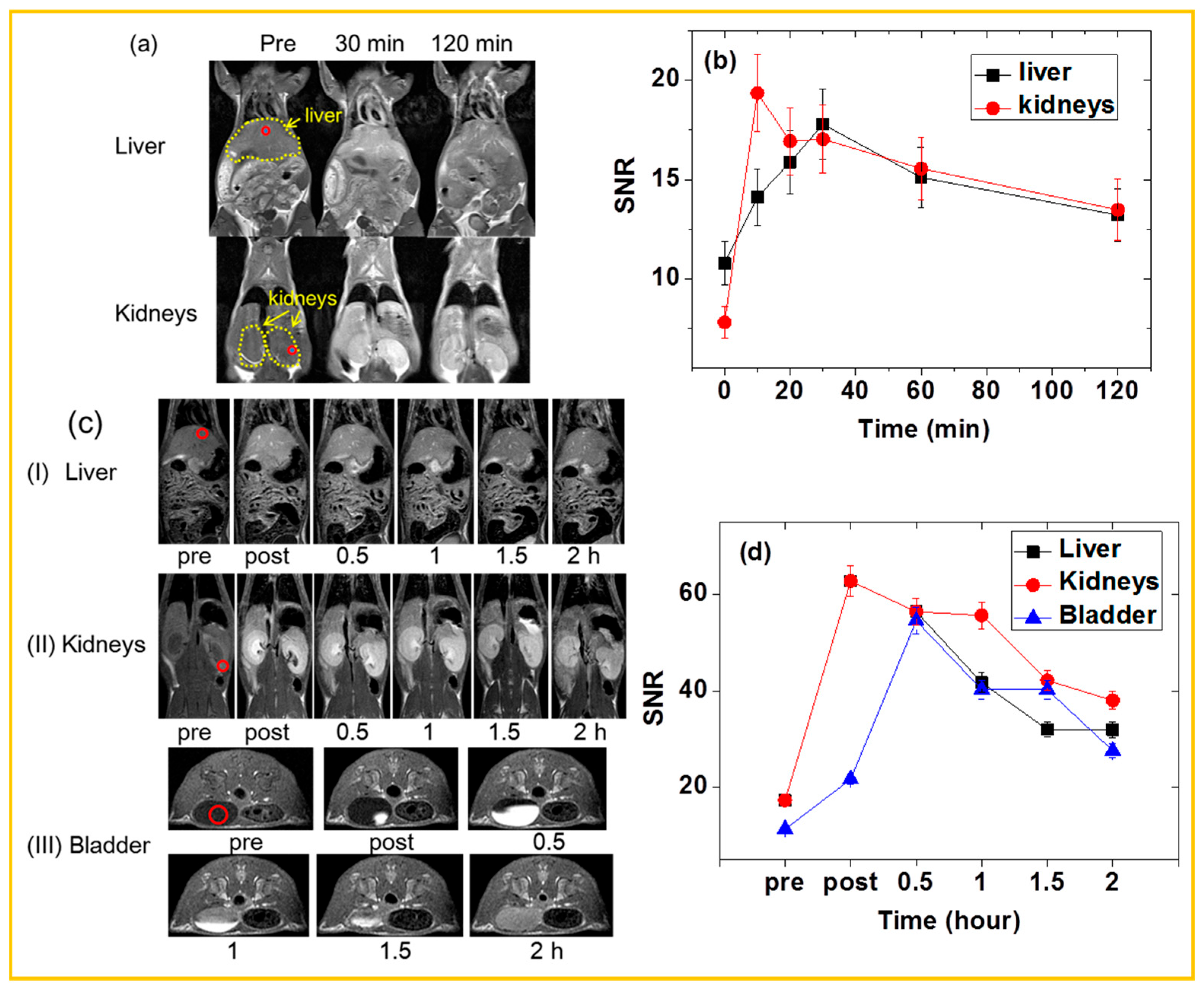 Nanomaterials 15 01340 g014 Nanomaterials 15 01340 g014
