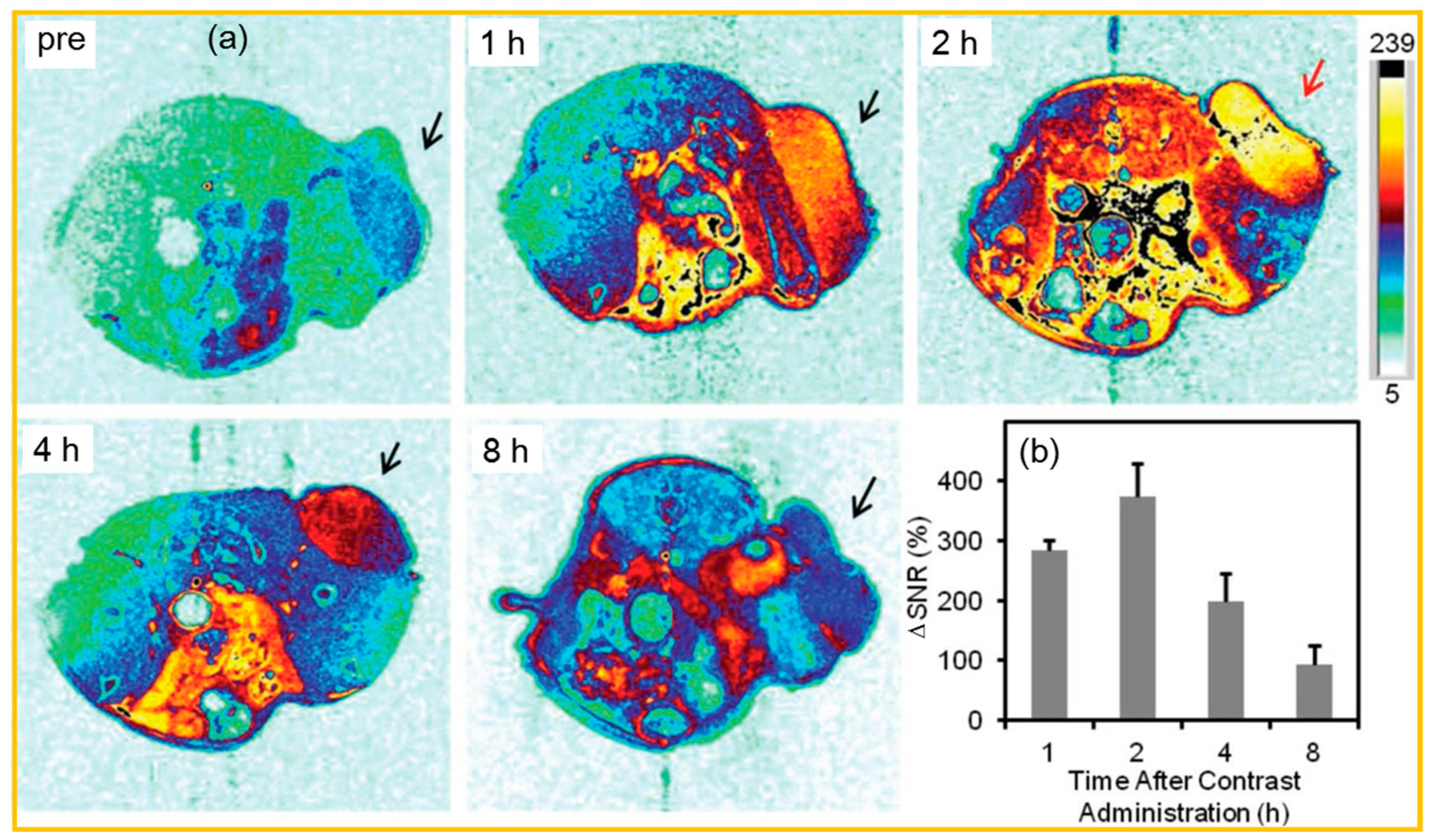 Nanomaterials 15 01340 g015 Nanomaterials 15 01340 g015