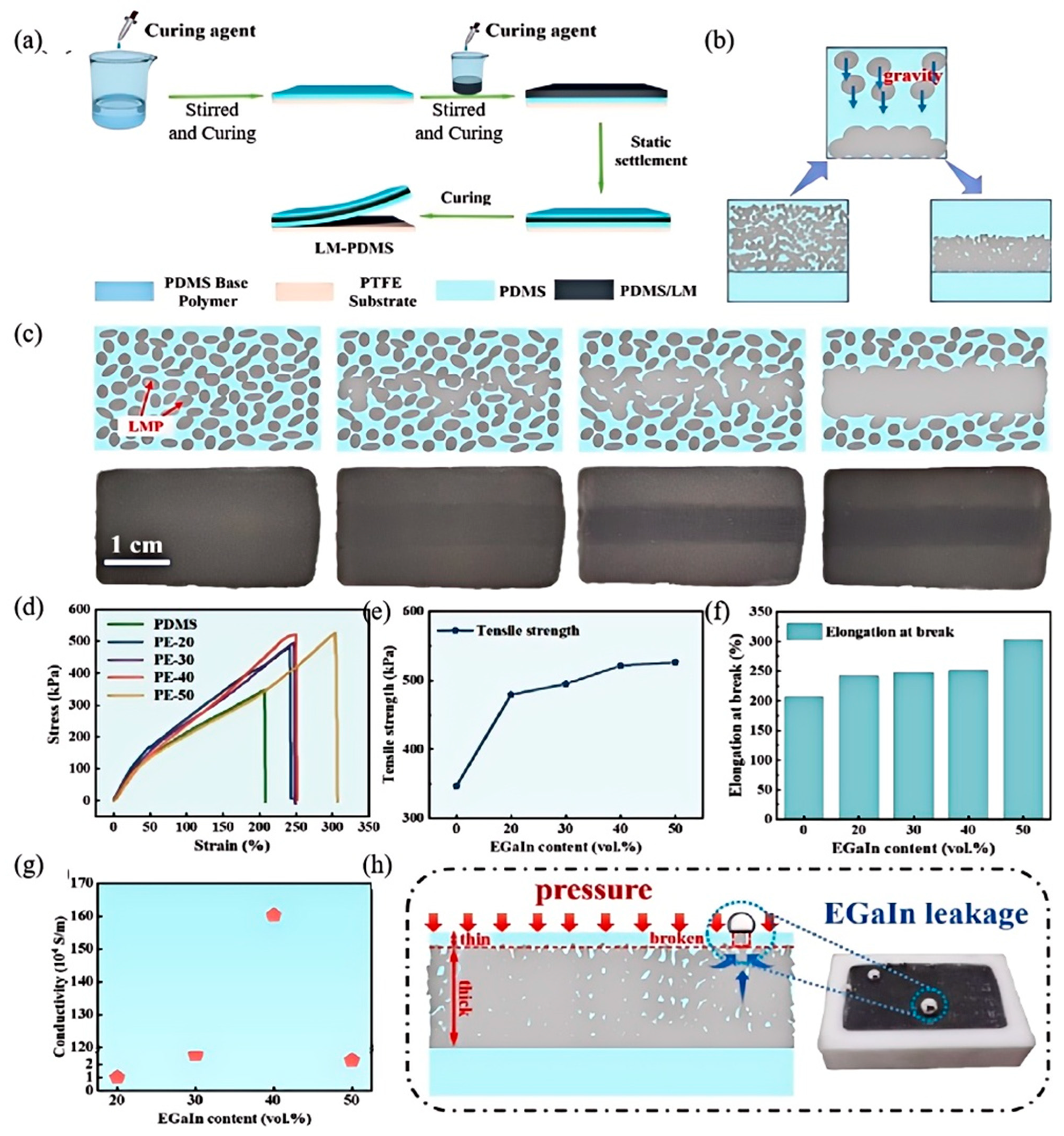 Nanomaterials 15 01346 g007