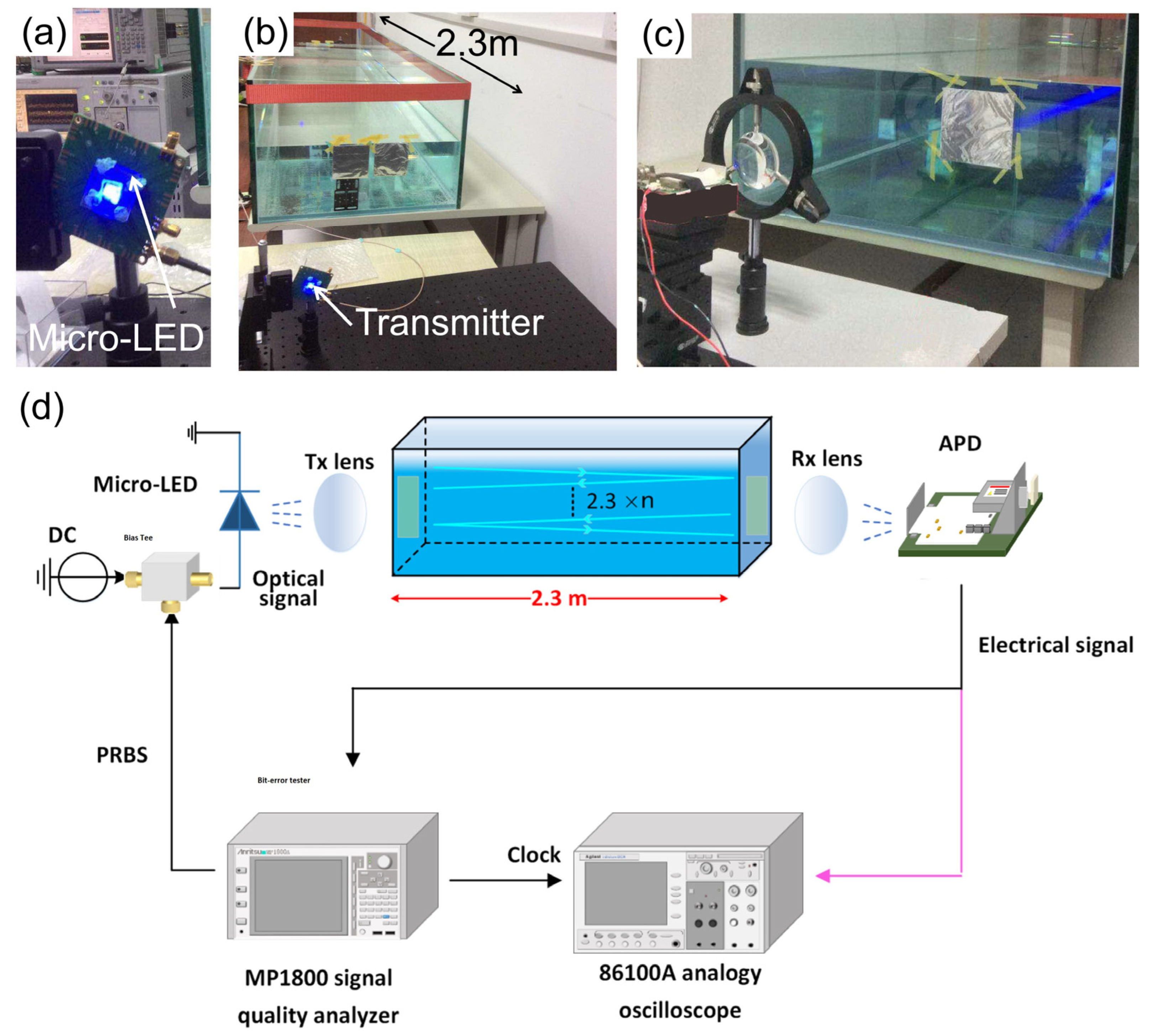 Nanomaterials 15 01347 g003