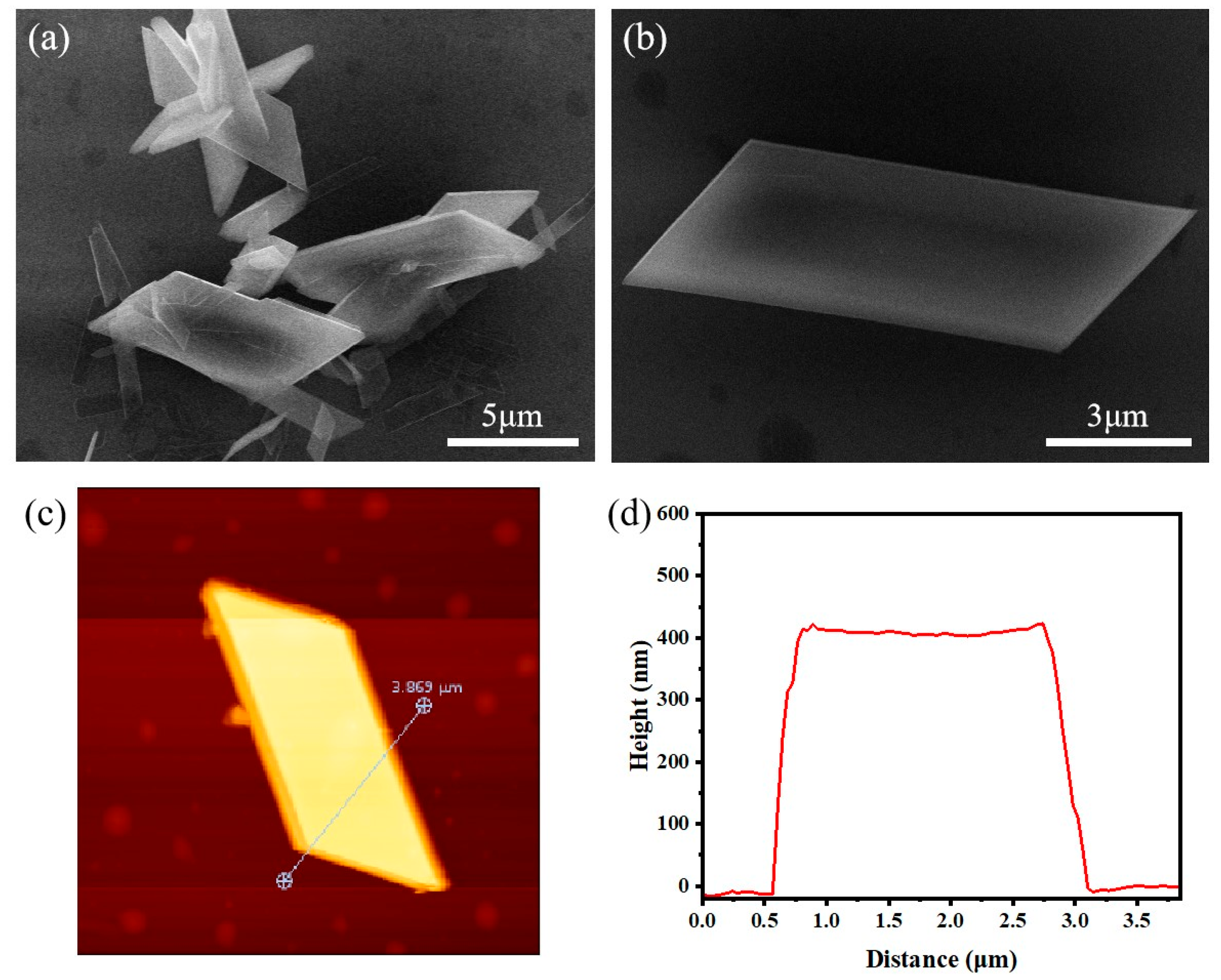Nanomaterials 15 01348 g003