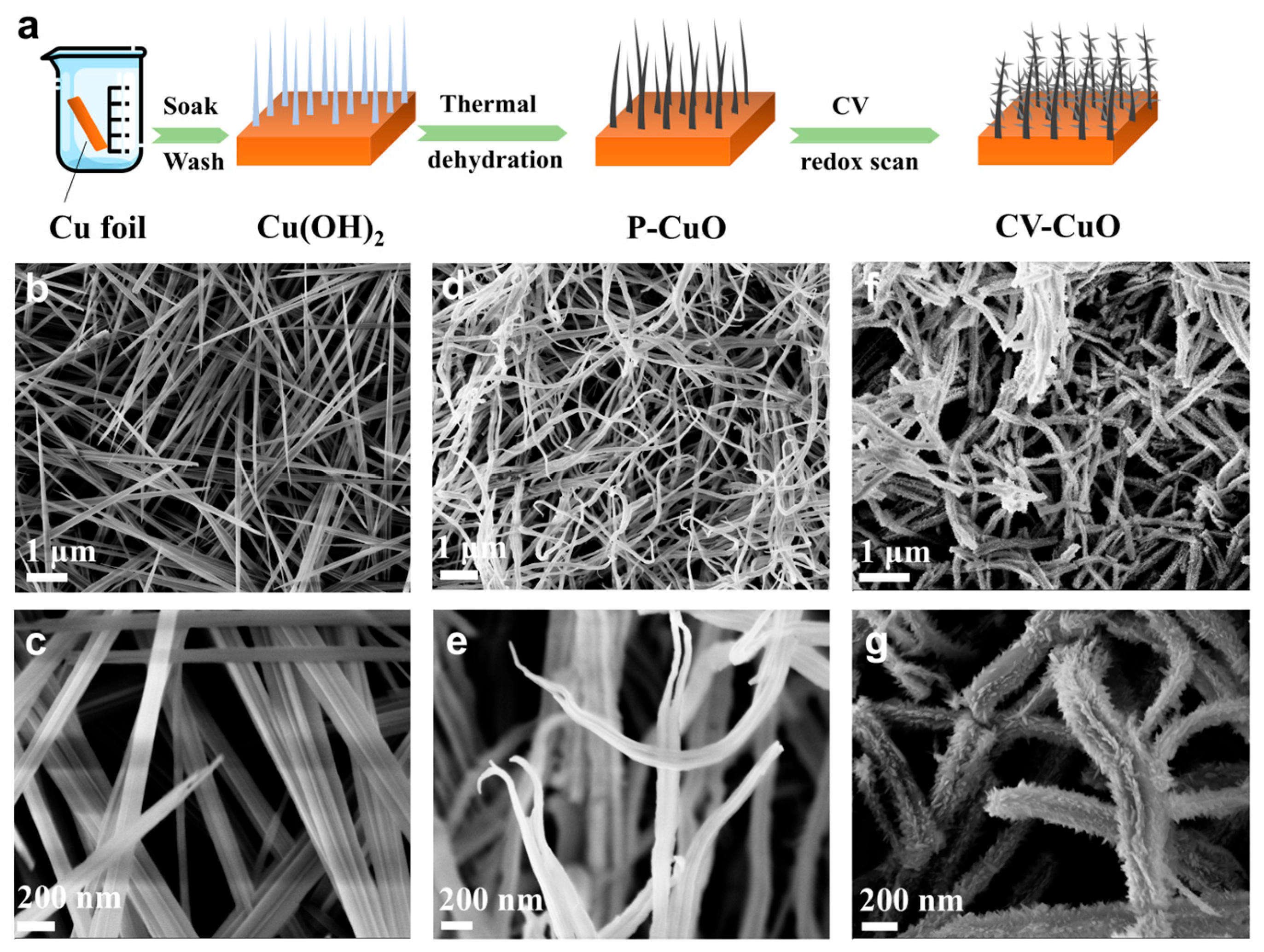 Nanomaterials 15 01349 g001 Nanomaterials 15 01349 g001