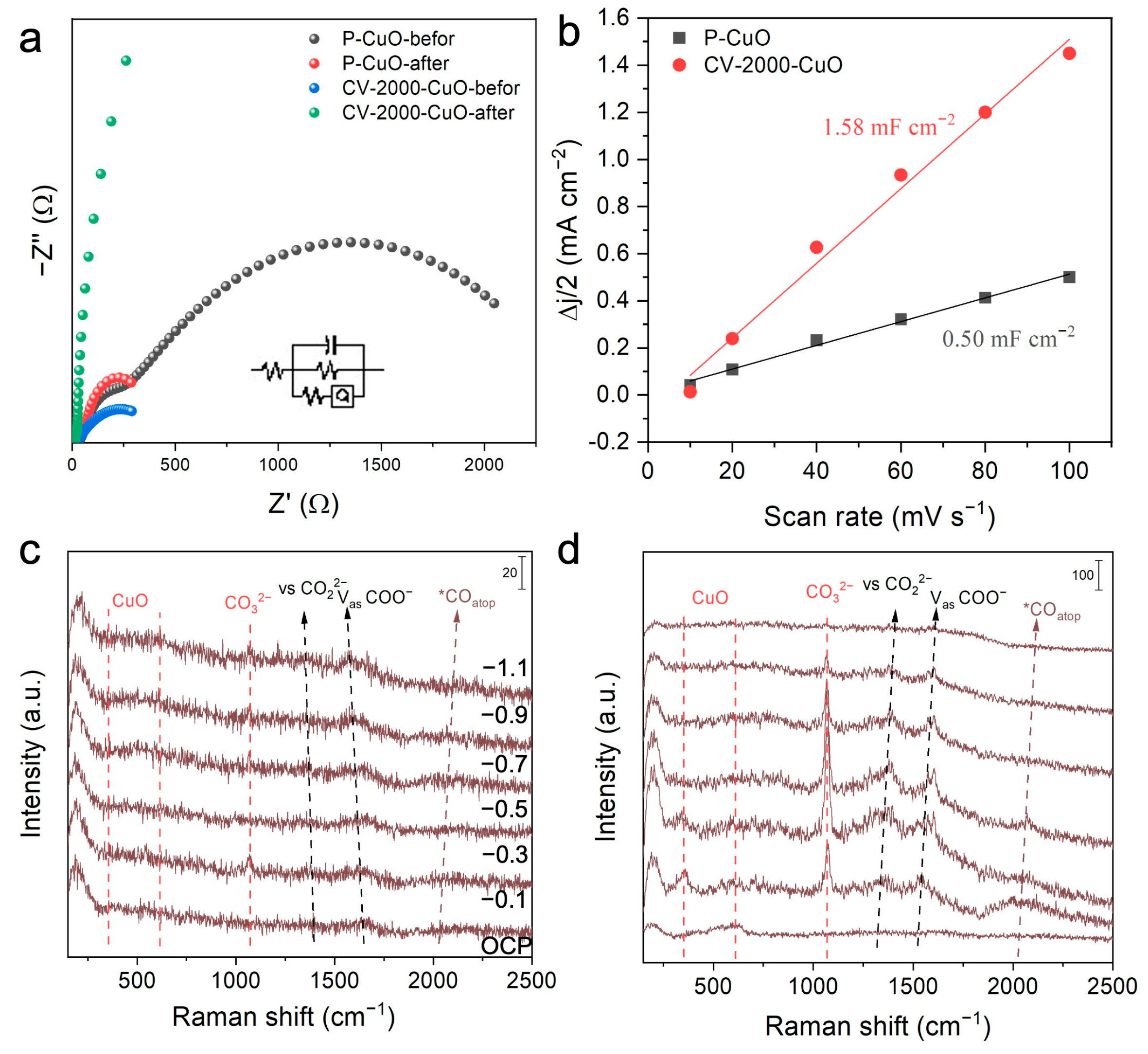 Nanomaterials 15 01349 g004 Nanomaterials 15 01349 g004