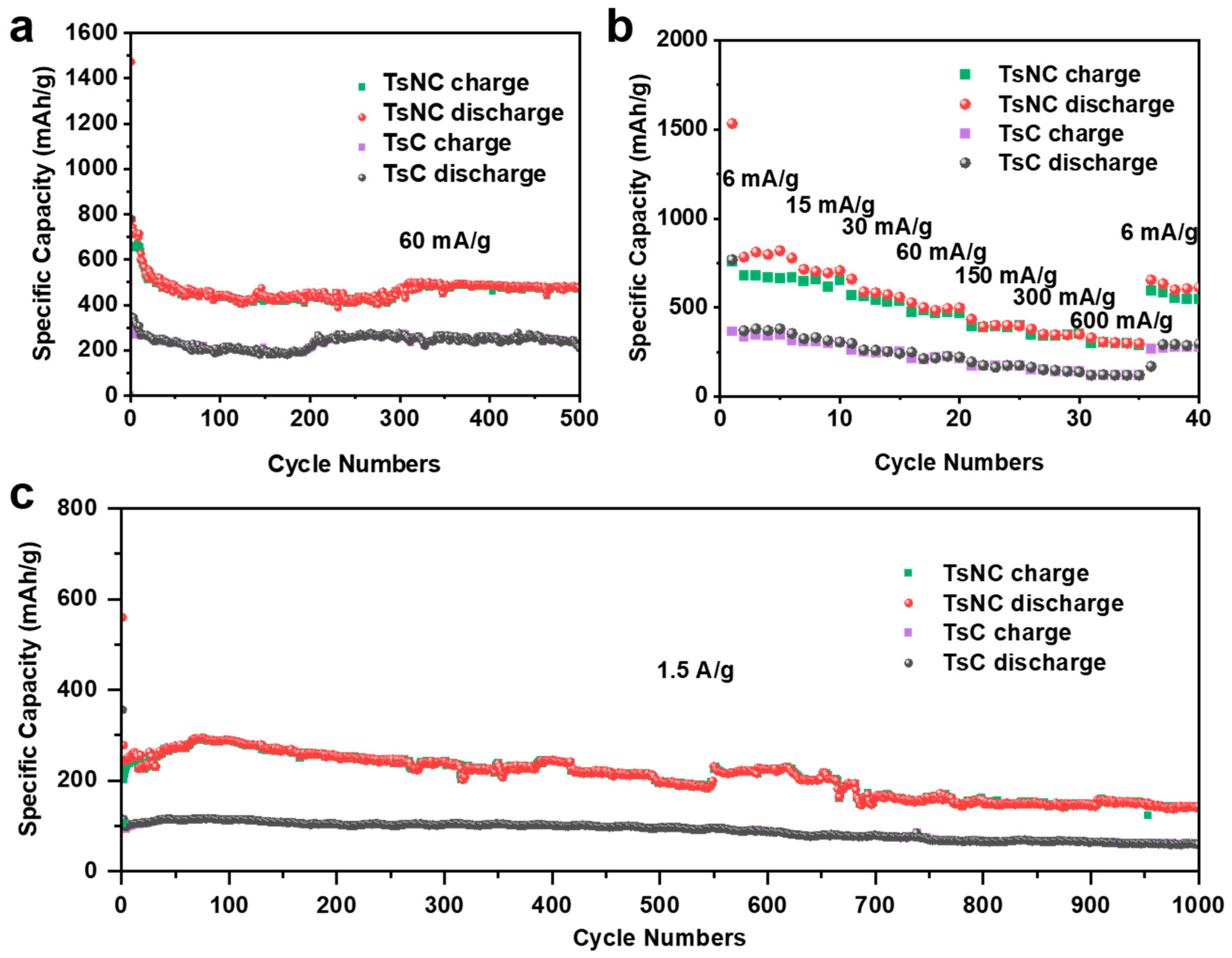 Nanomaterials 15 01357 g005 Nanomaterials 15 01357 g005