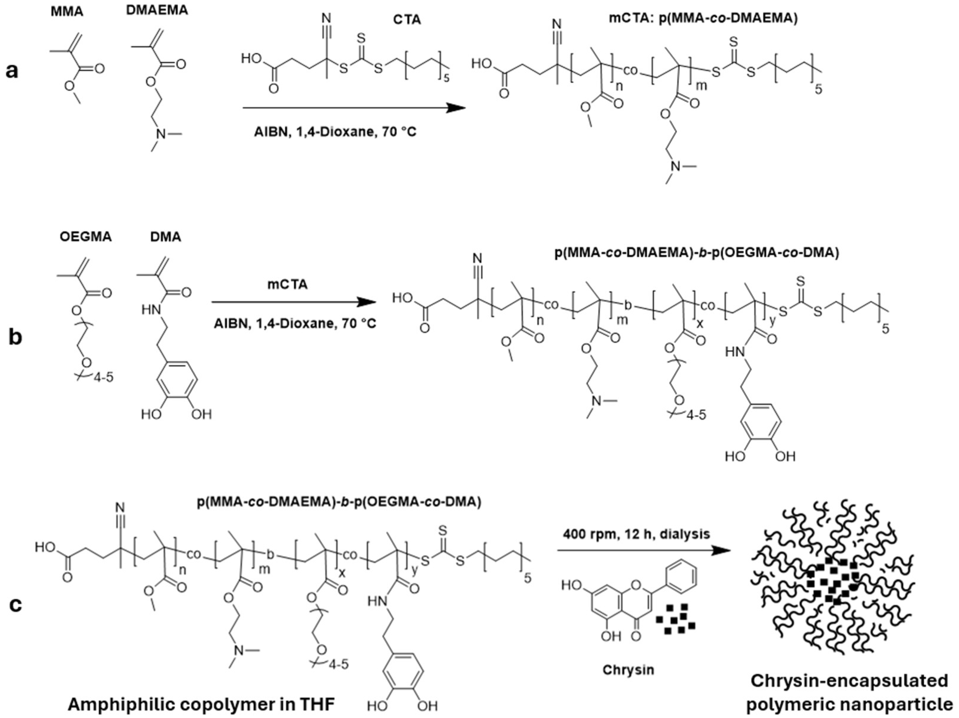 Nanomaterials 15 01362 g001