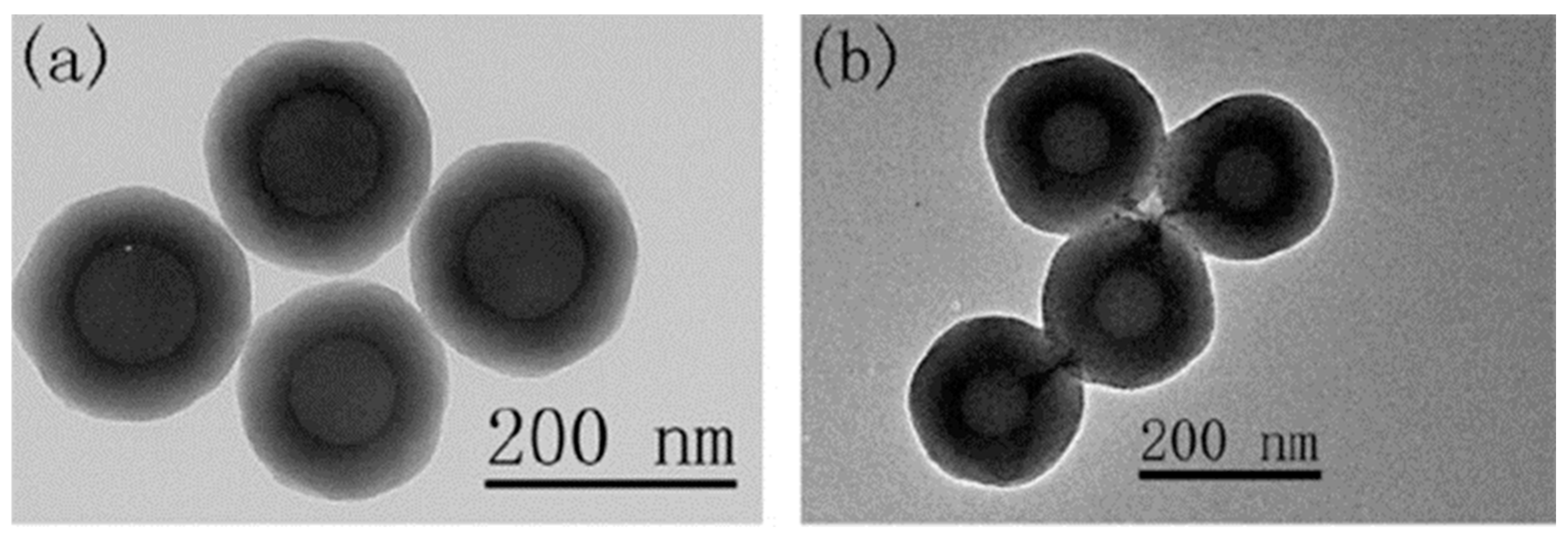 Nanomaterials 15 01366 g006
