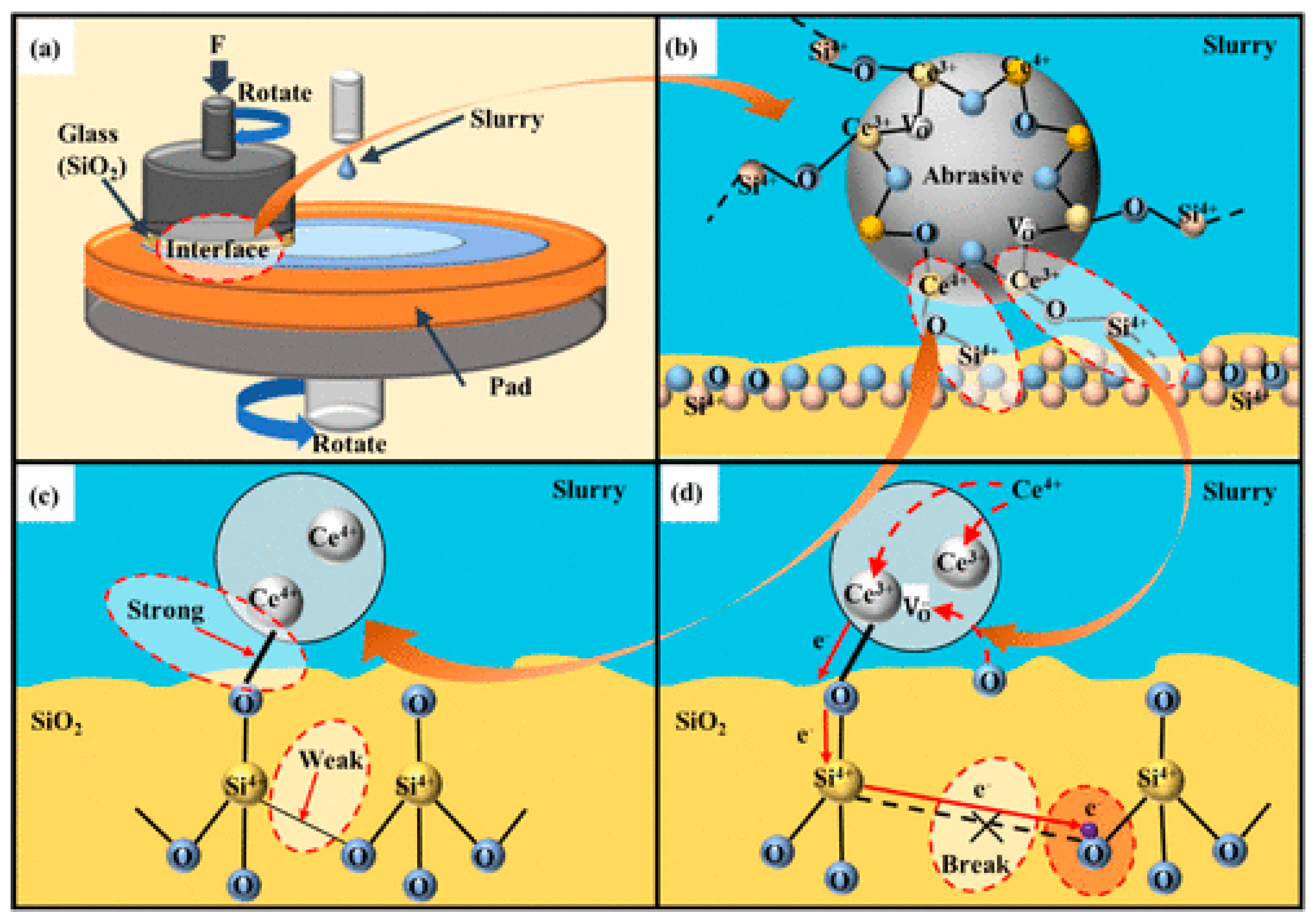 Nanomaterials 15 01366 g008