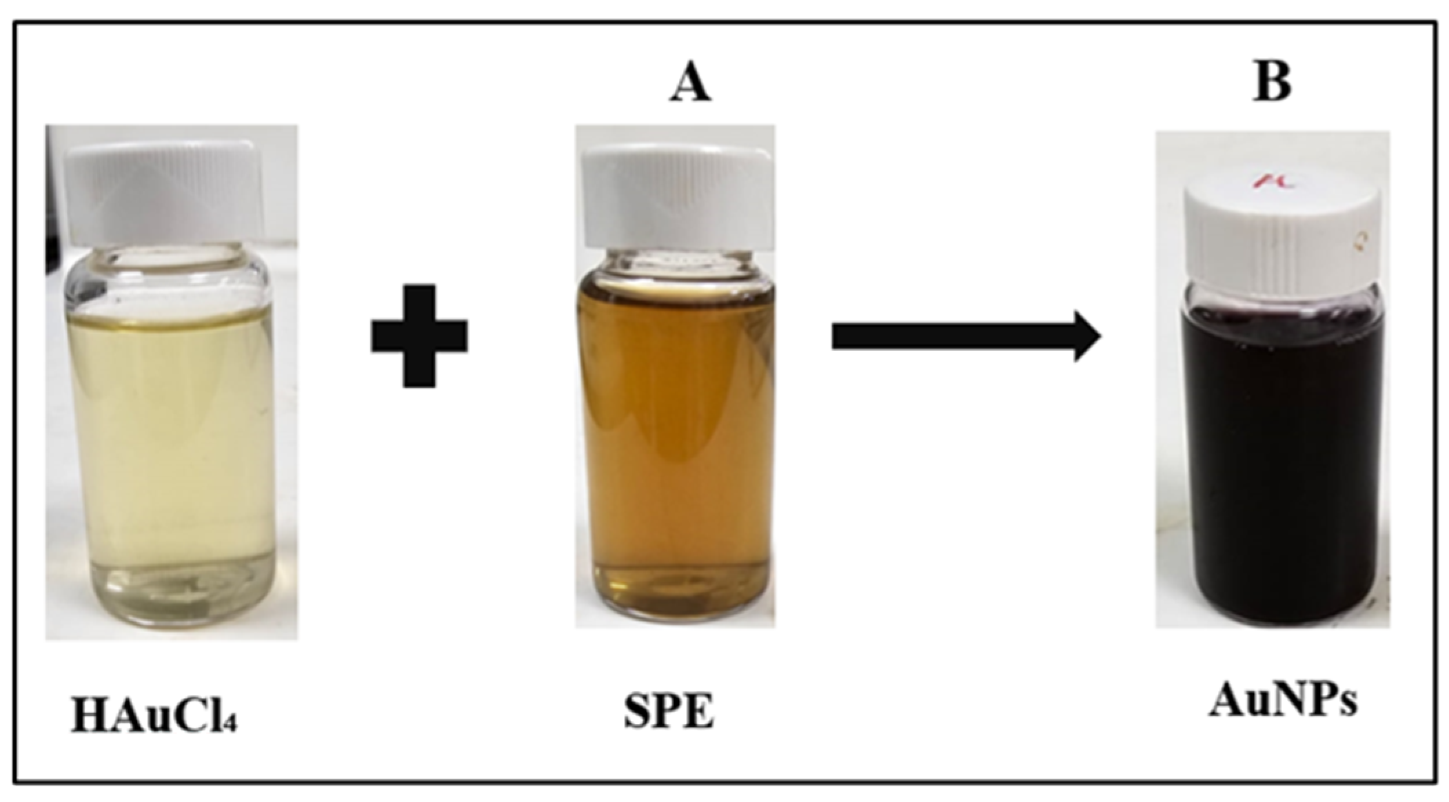 Nanomaterials 15 01368 g001