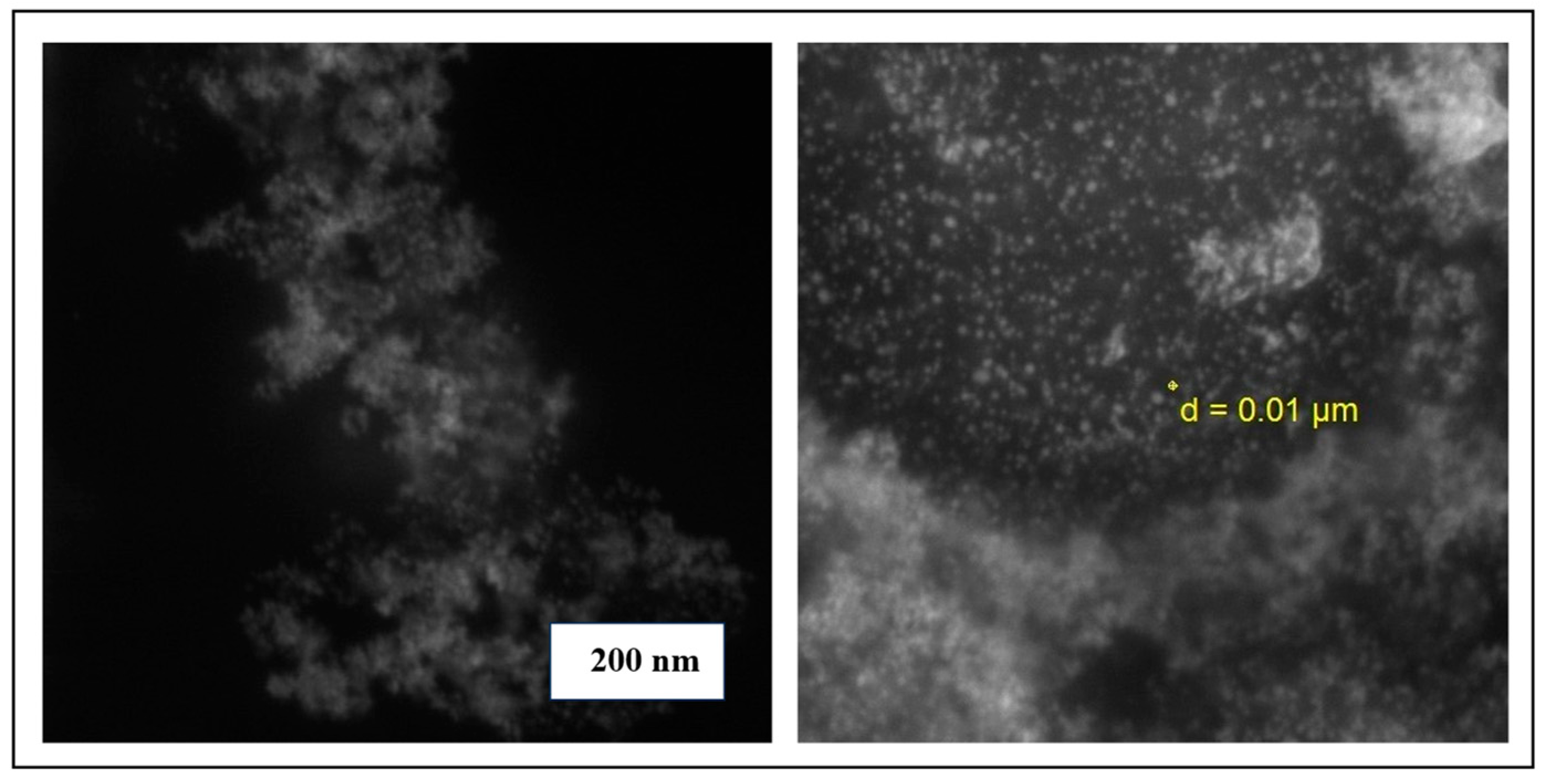 Nanomaterials 15 01368 g003