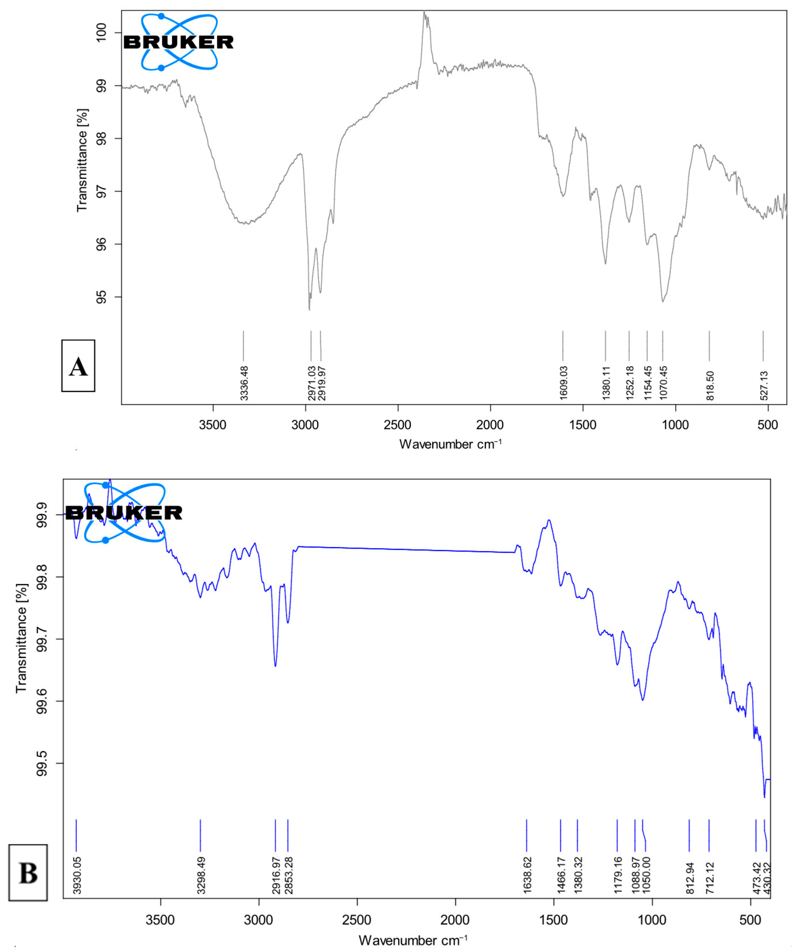 Nanomaterials 15 01368 g009