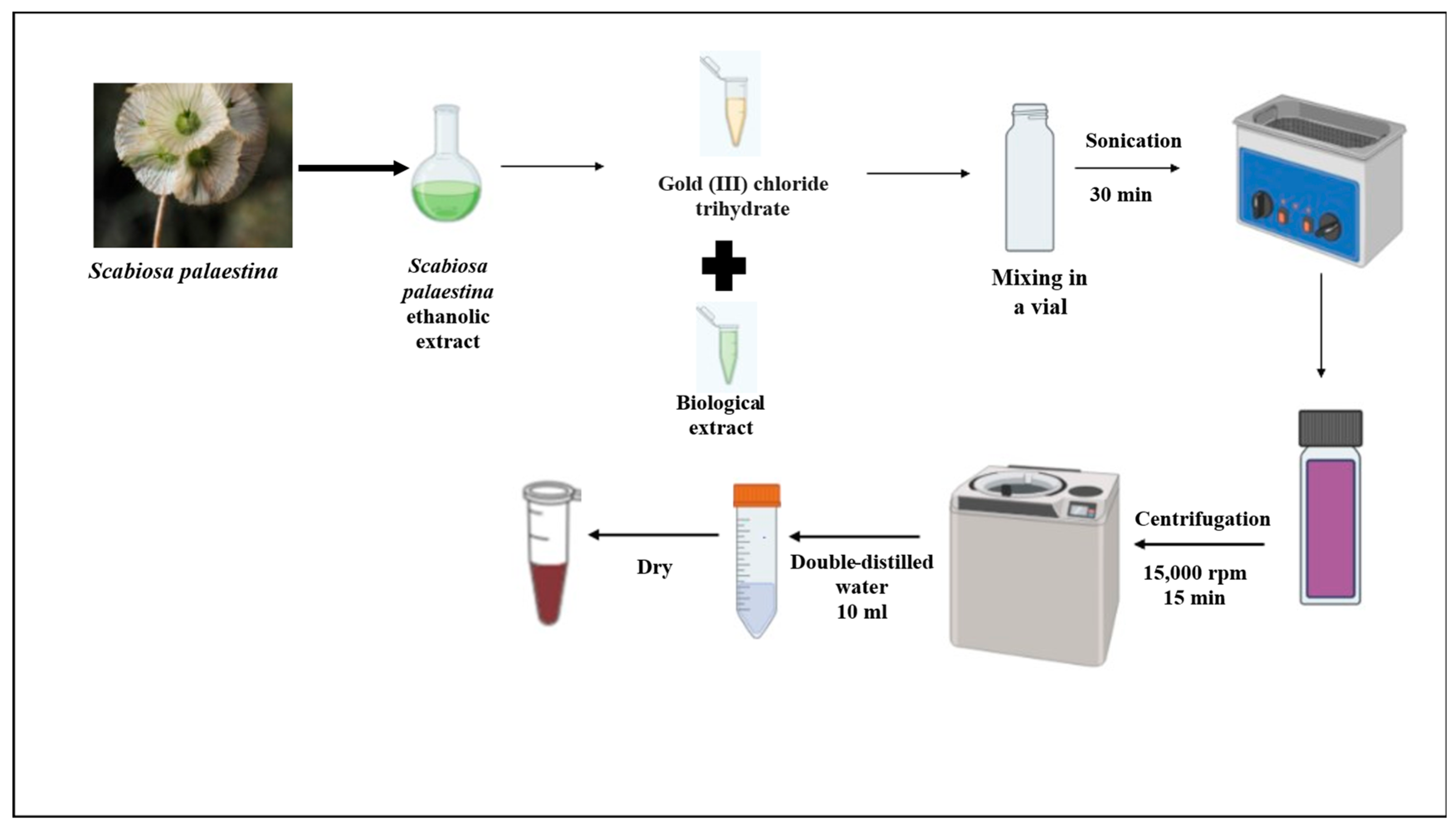 Nanomaterials 15 01368 sch001